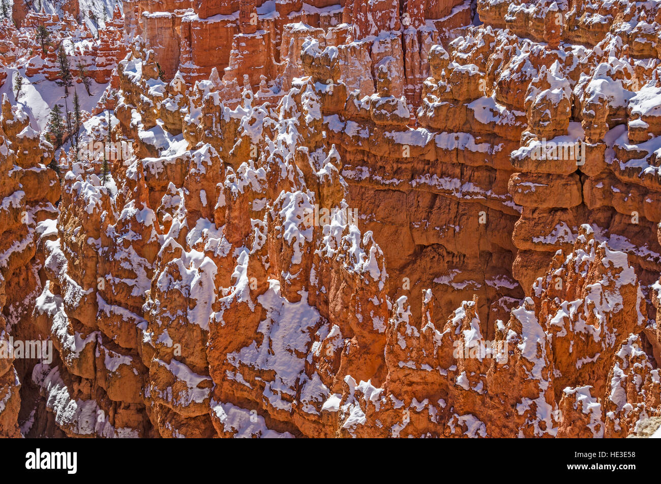 Le pareti del canyon, o alette, al Parco Nazionale di Bryce Canyon hanno formato un area che assomiglia a una tasca. Foto Stock