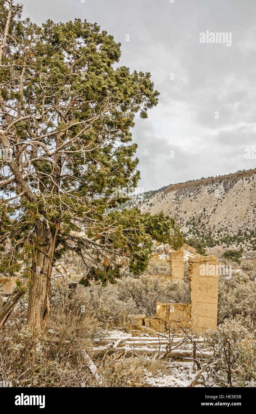 Resti di un edificio in pietra nella città fantasma di incomparabile, Utah. Foto Stock