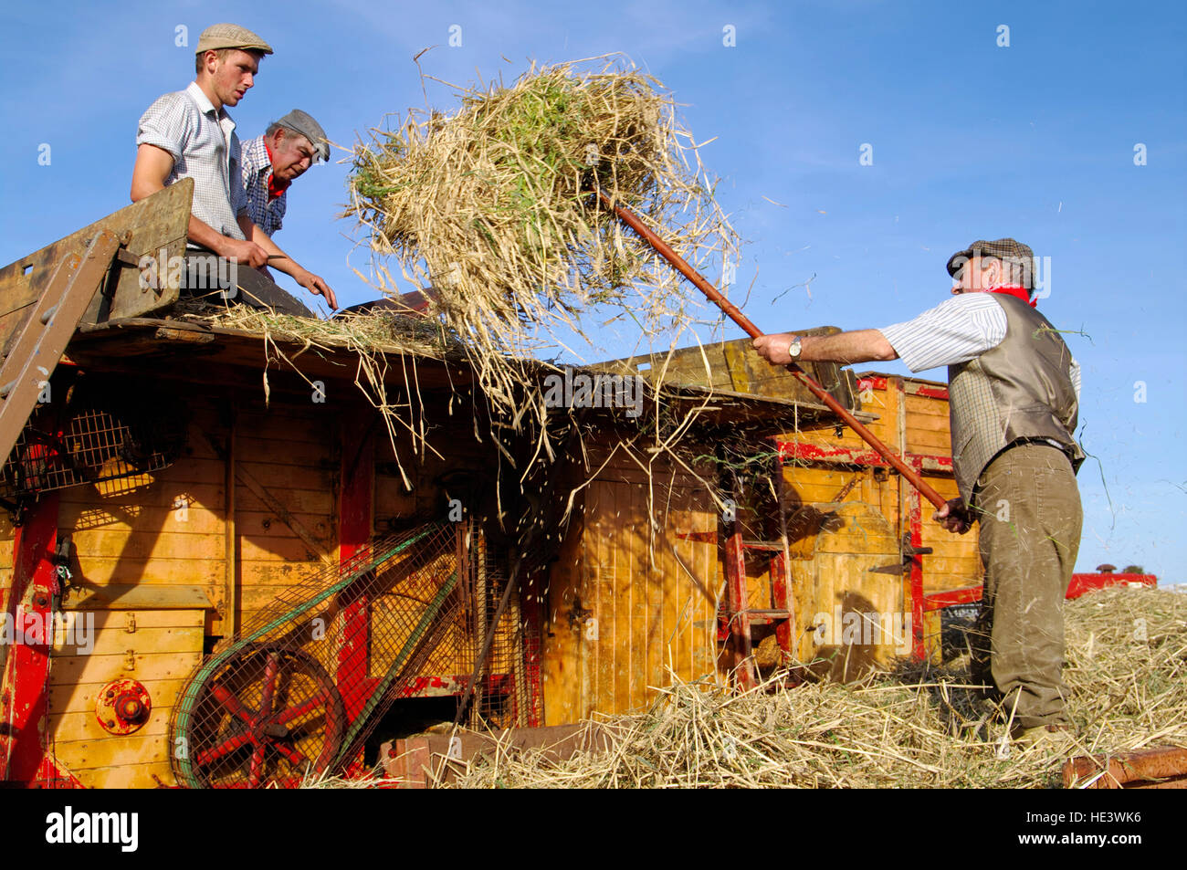 Vintage macchina di trebbiatura Foto Stock