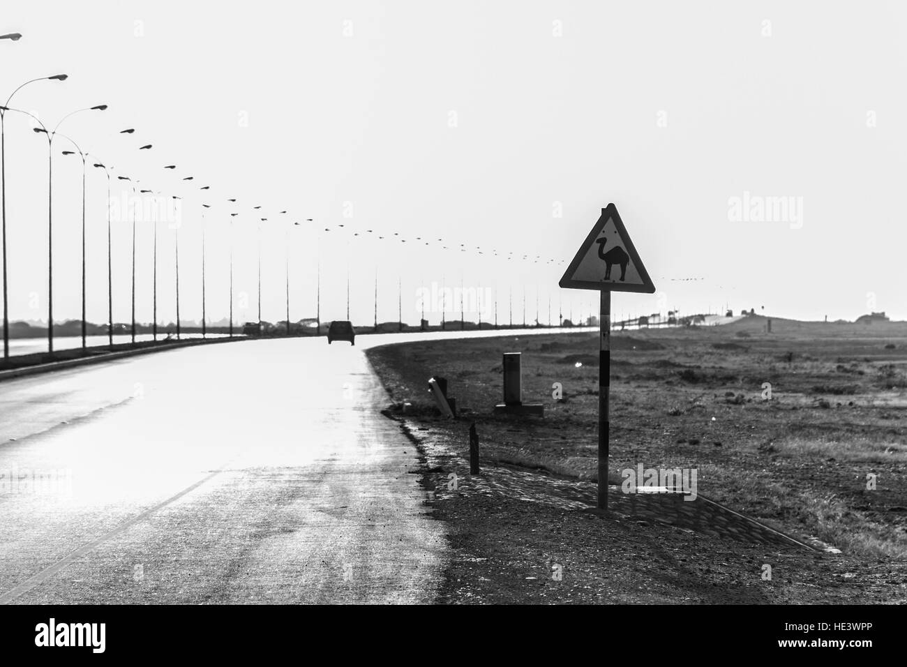 Avviso di cammello nel deserto di segno in autostrada in dhofar salalah Oman il Medio Oriente 6 Foto Stock