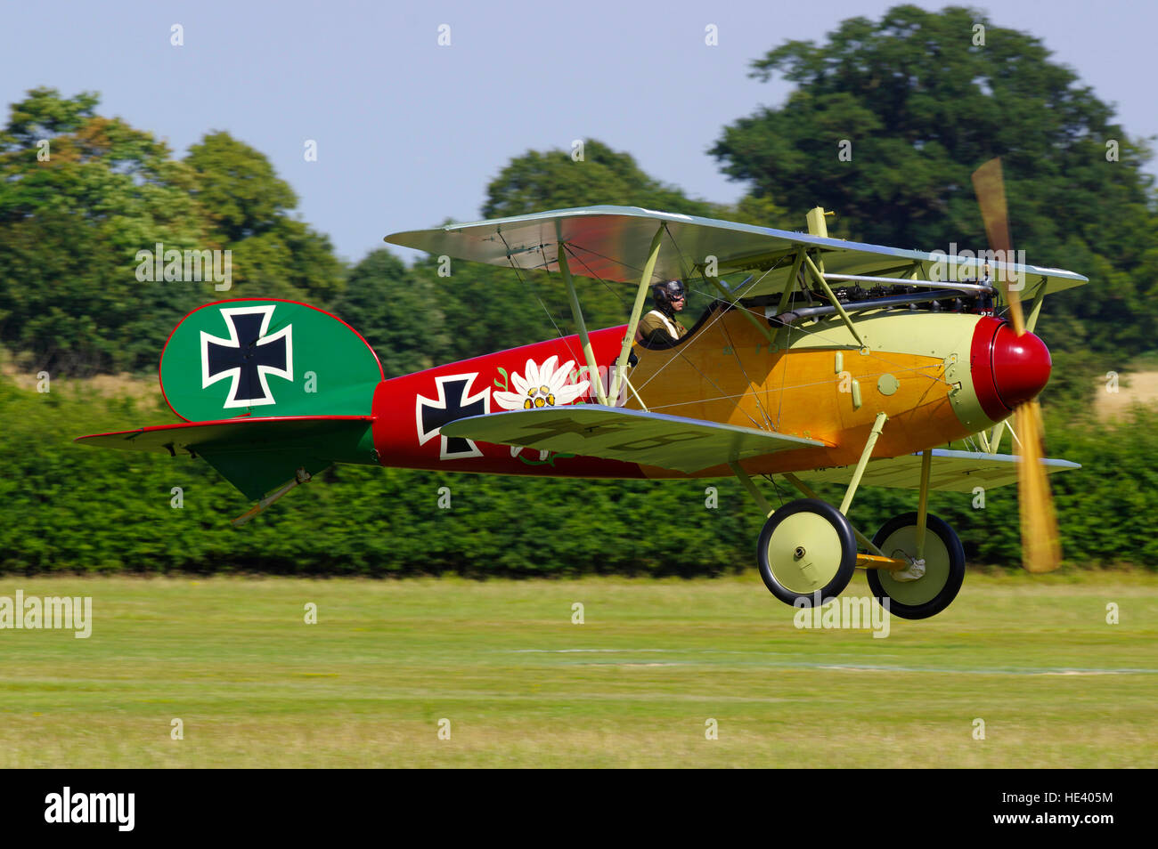 Albatross DVa presso Old Warden airfield, Foto Stock