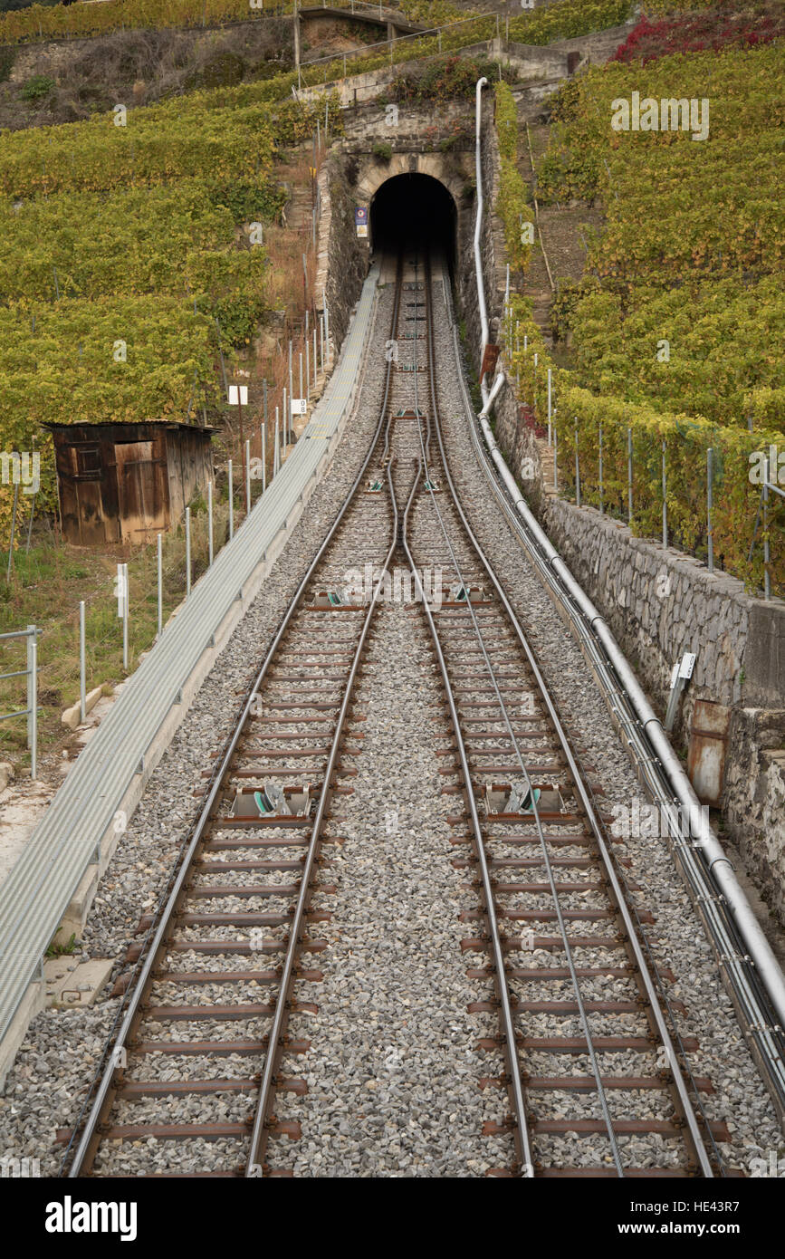 Stazione ferroviaria attraverso Lavaux UNESCO World Heritage Site vigneto, Vevey, Svizzera. Foto Stock