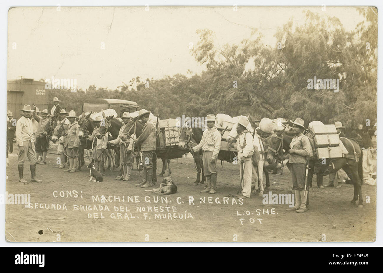 Questa immagine raffigura una mitragliatrice della rivoluzione messicana, usata dalla Segunda Brigada del Noreste. La fotografia cattura le milizie armate a cavallo, riflettendo la tecnologia militare dell'epoca e la lotta rivoluzionaria. Foto Stock