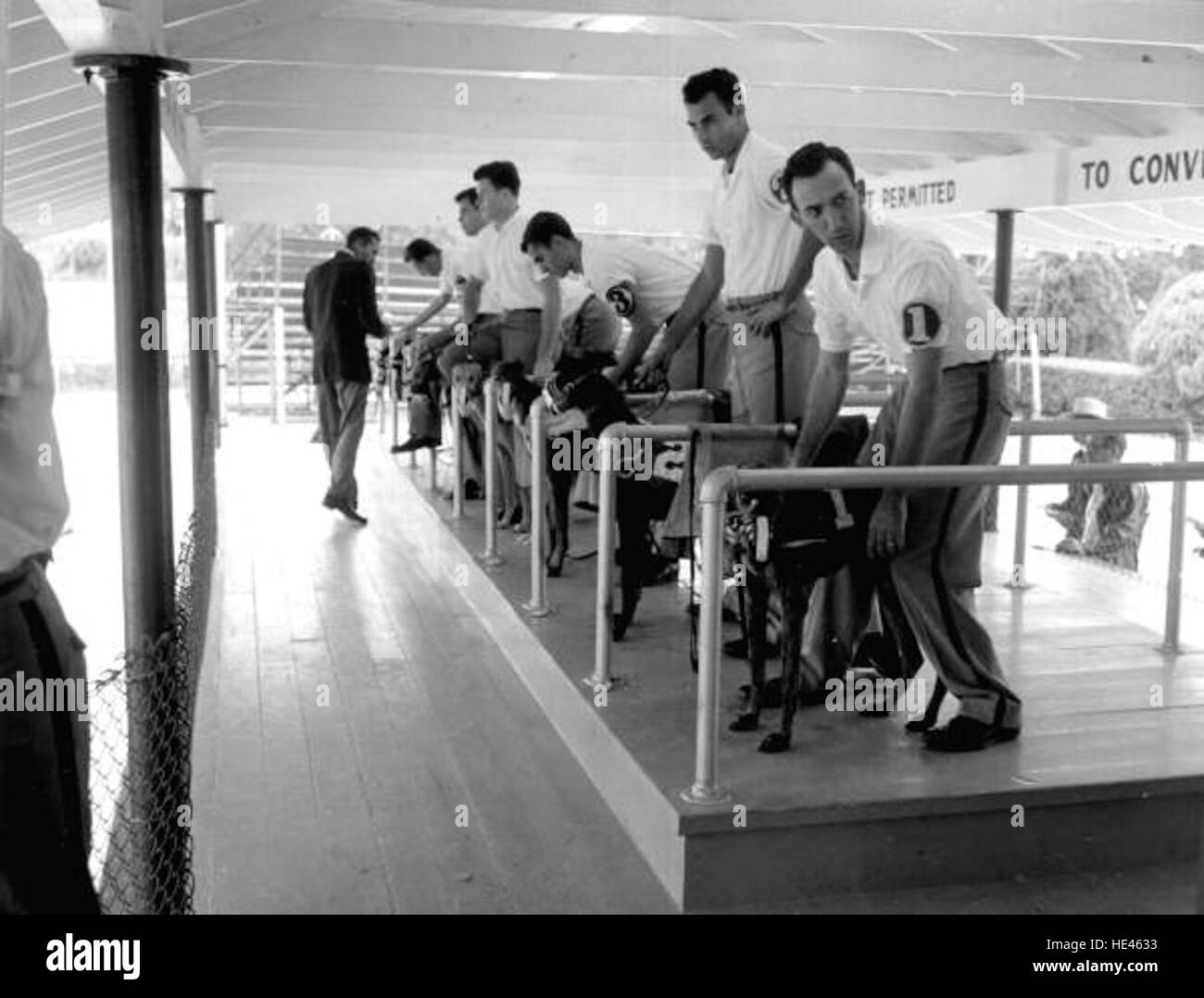 Questa immagine storica di Tampa mostra gli sposi e i loro cani che vengono esaminati da un funzionario, forse durante una mostra canina o una competizione. La fotografia cattura un momento all'inizio del XX secolo che coinvolge mostre di animali e il ruolo dei funzionari nel processo. Foto Stock