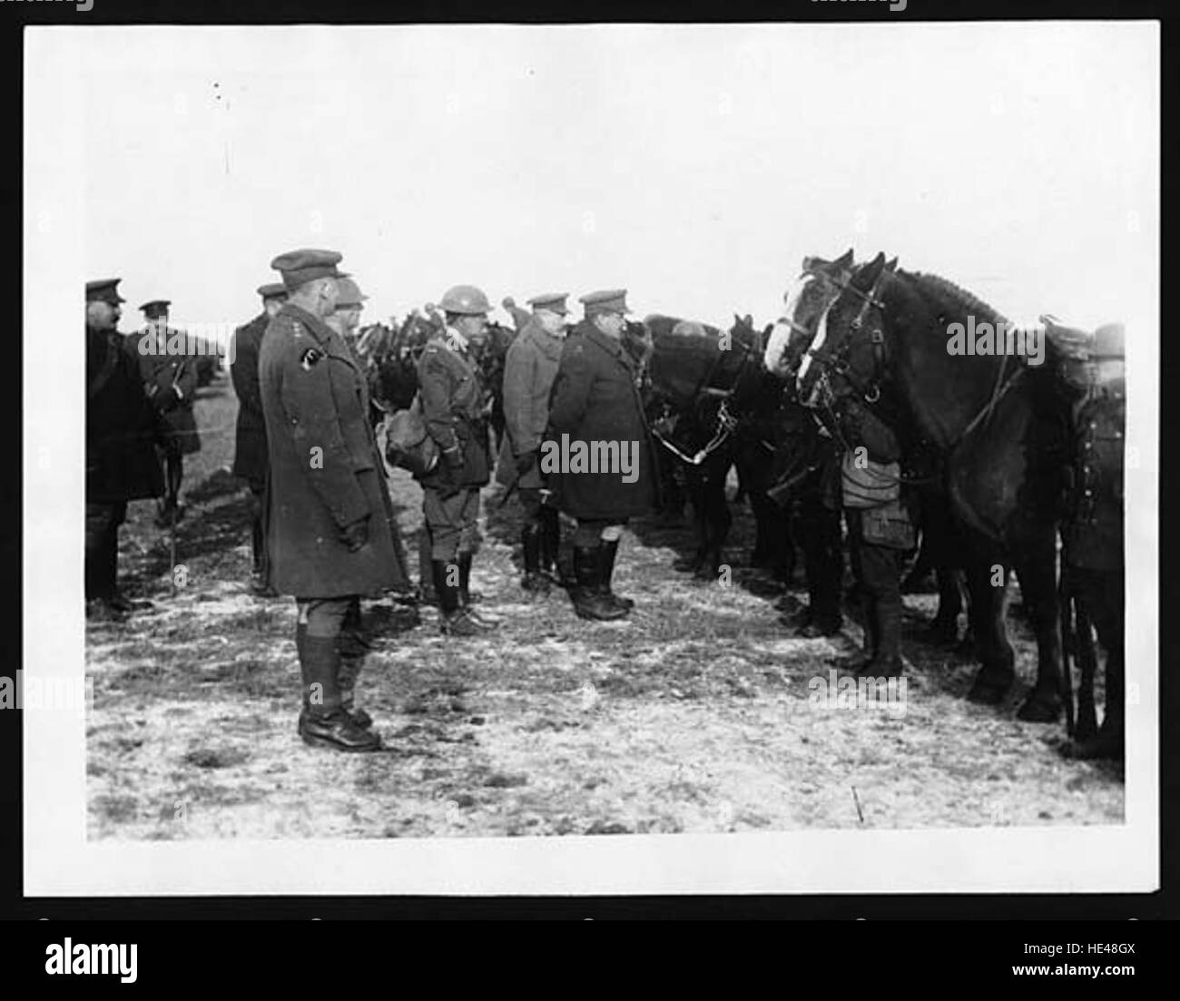 Questa fotografia storica cattura l'ispezione del trasporto di cavalli da parte di un battaglione canadese. Fornisce un'istantanea della logistica militare e del ruolo dei cavalli nel trasporto durante la guerra. Foto Stock