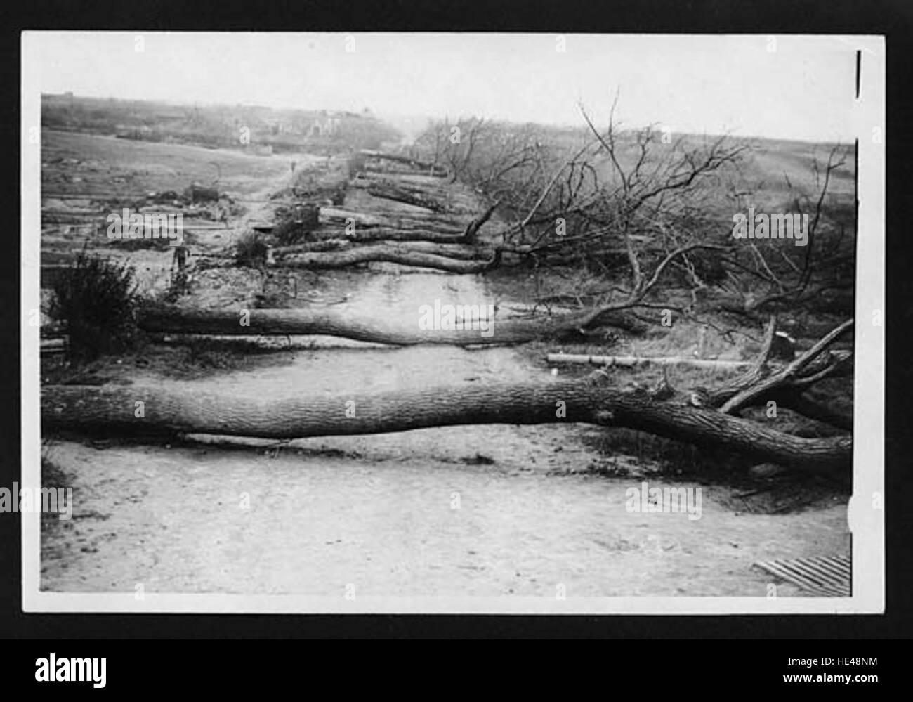Le forze britanniche lanciarono una nuova offensiva nei pressi di Cambrai, in Francia, durante la prima guerra mondiale. Questa azione fu parte dei più grandi sforzi alleati per respingere le forze tedesche, coinvolgendo significativi movimenti militari strategici nell'area. Foto Stock