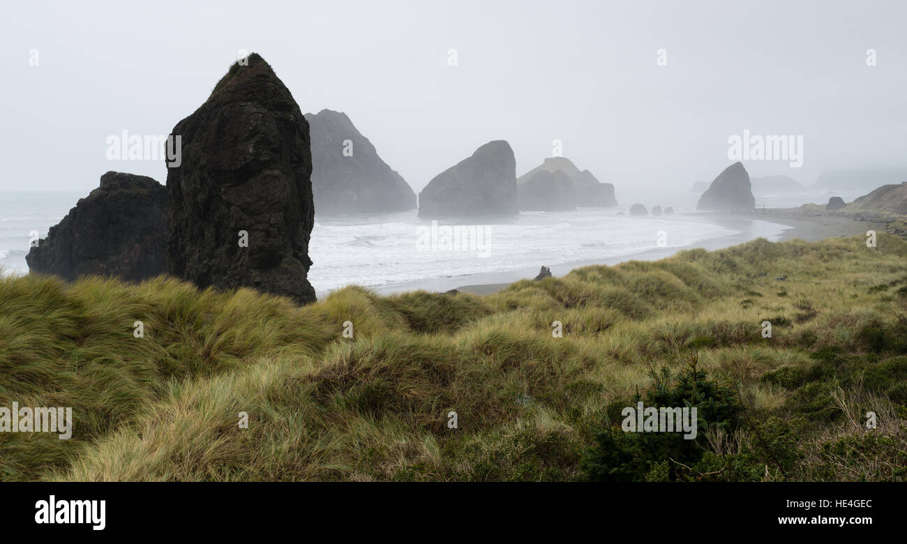 Misty Foggy spiaggia oceano pacifico della costa occidentale degli USA Foto Stock