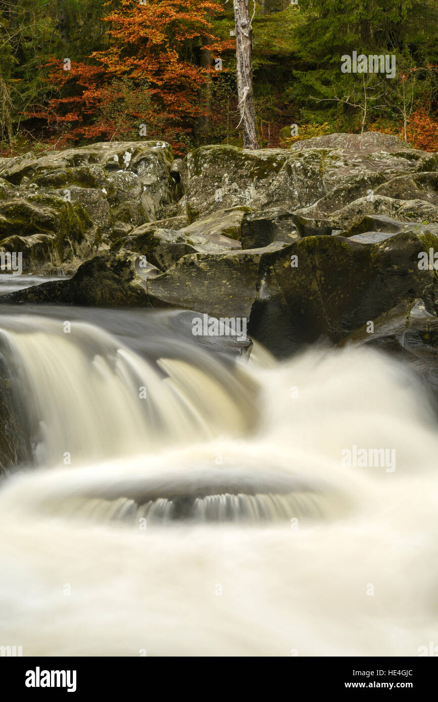 River Braan, Eremo, Scozia. Regno Unito Foto Stock