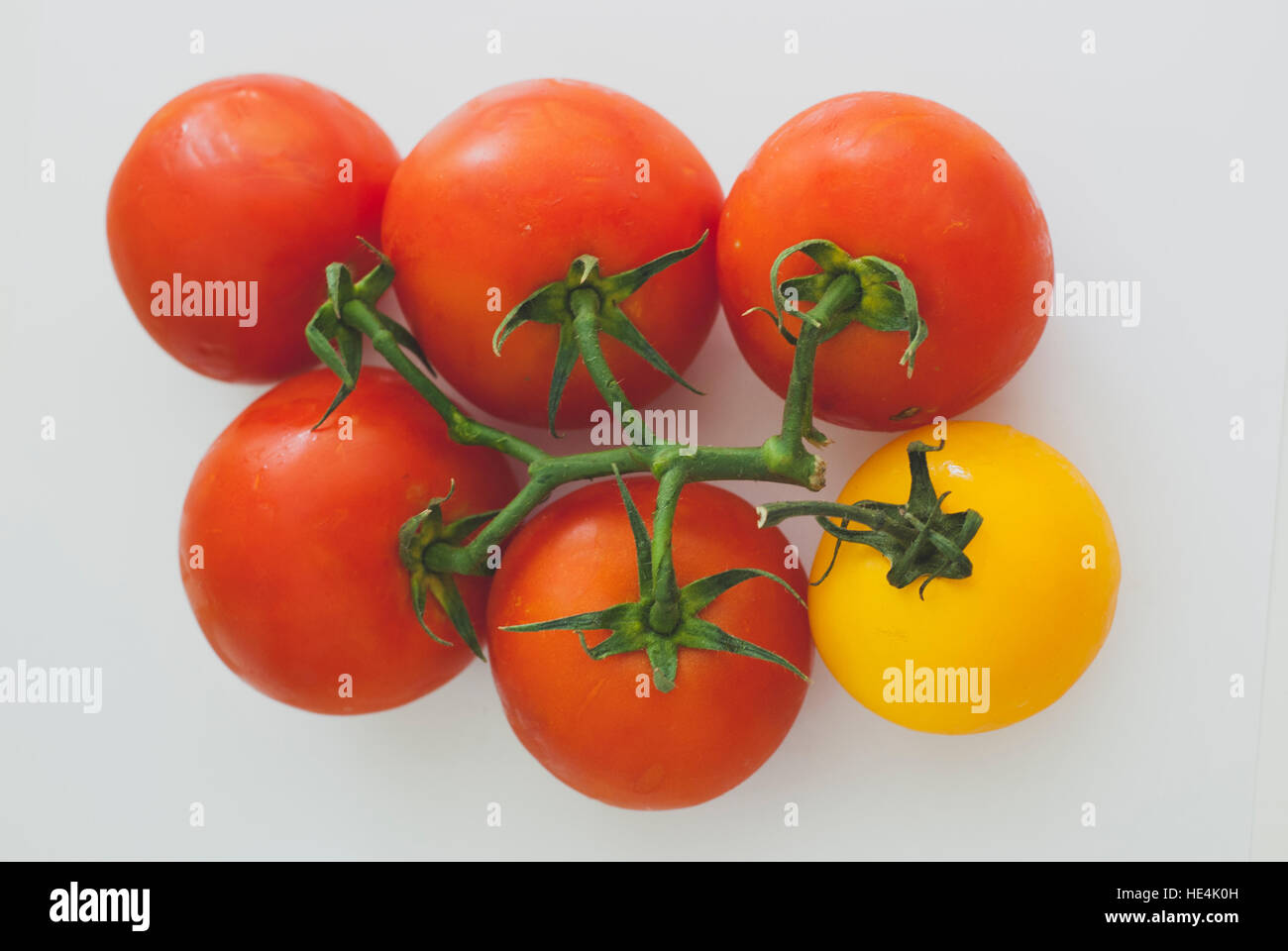 Il giallo e il rosso dei pomodori su sfondo bianco Foto Stock