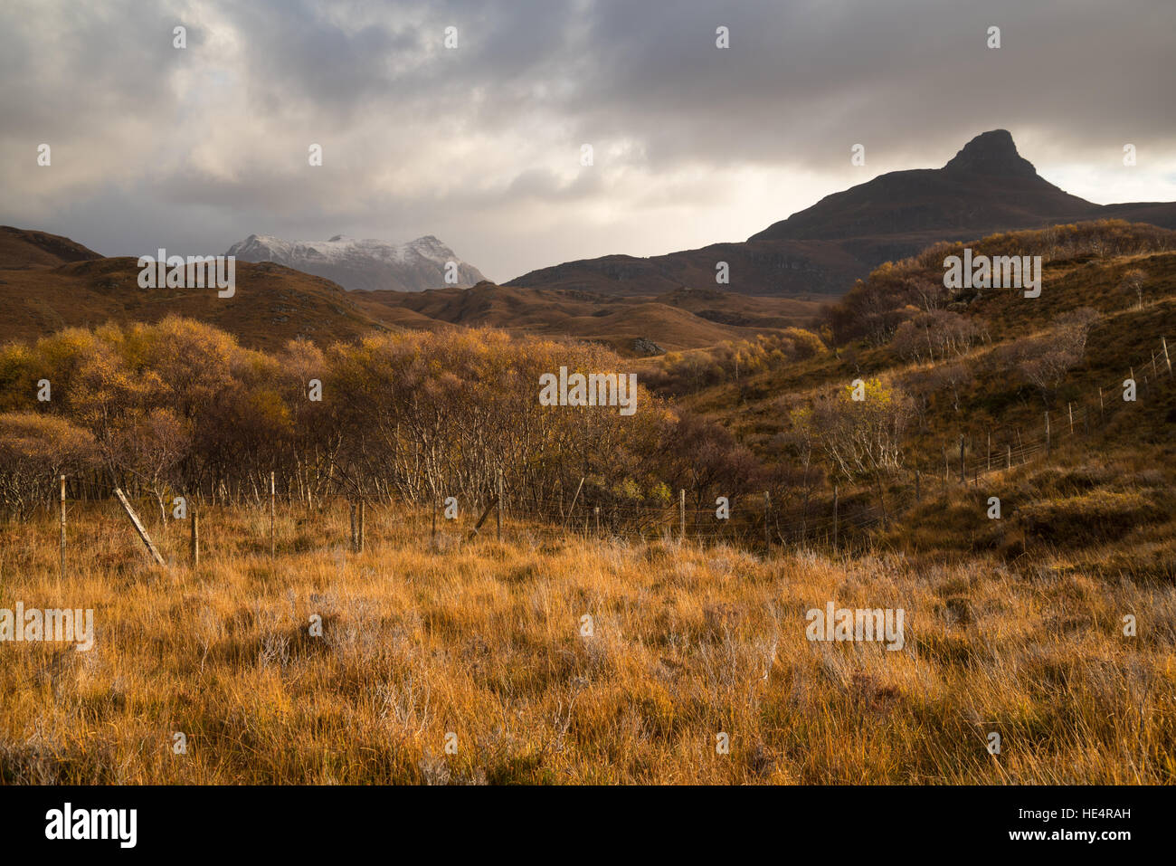 Il tardo autunno vista di Stac Pollaidh e Cul Mor in Assynt, Sutherland, Scozia. Foto Stock