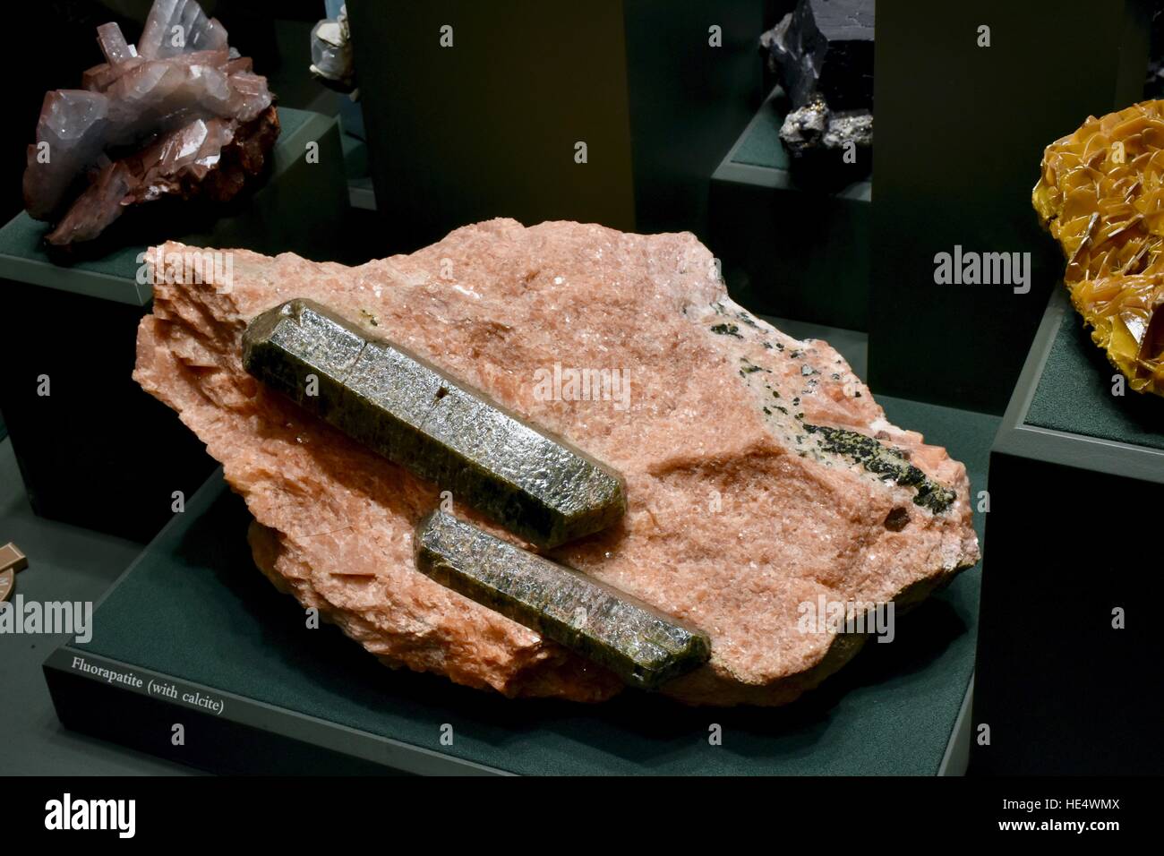 Rocce e minerali presso lo Smithsonian, il museo naturale in c.c. Foto Stock