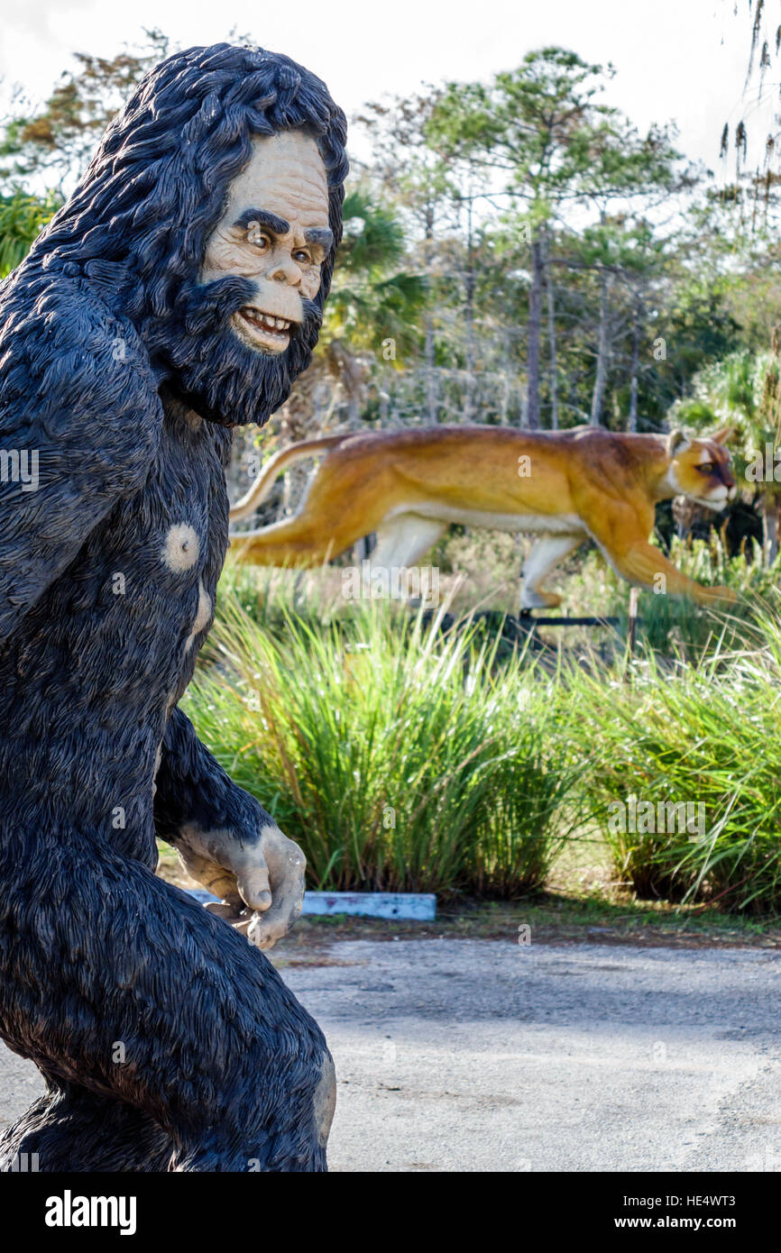 Florida le Everglades, Tamiami Trail, Skunkape Headquarters, pantera, statua, FL161129330 Foto Stock