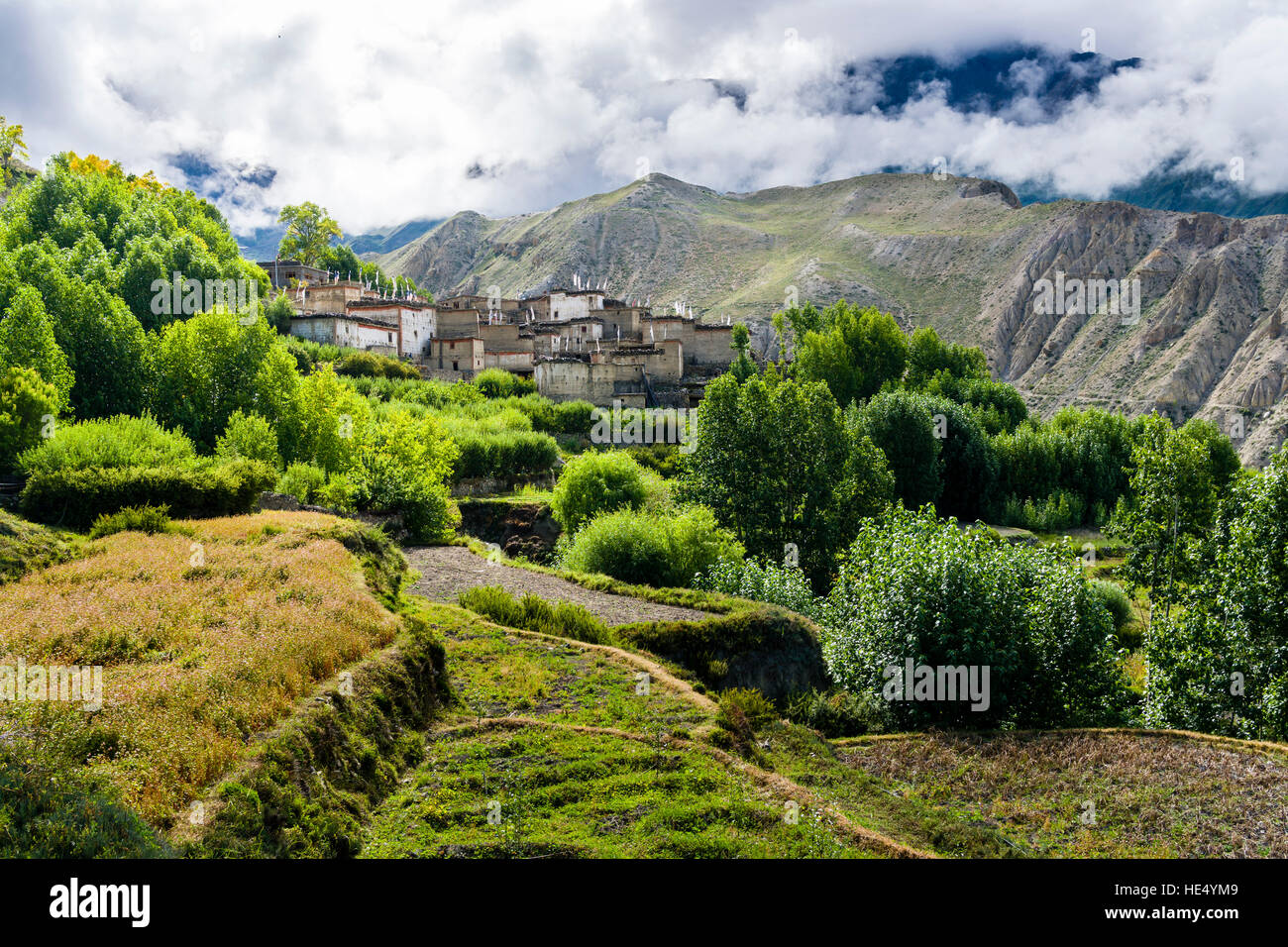 Il paesaggio agricolo della tomaia Kali Gandaki valley con campi di orzo, il villaggio è situato tra gli alberi Foto Stock