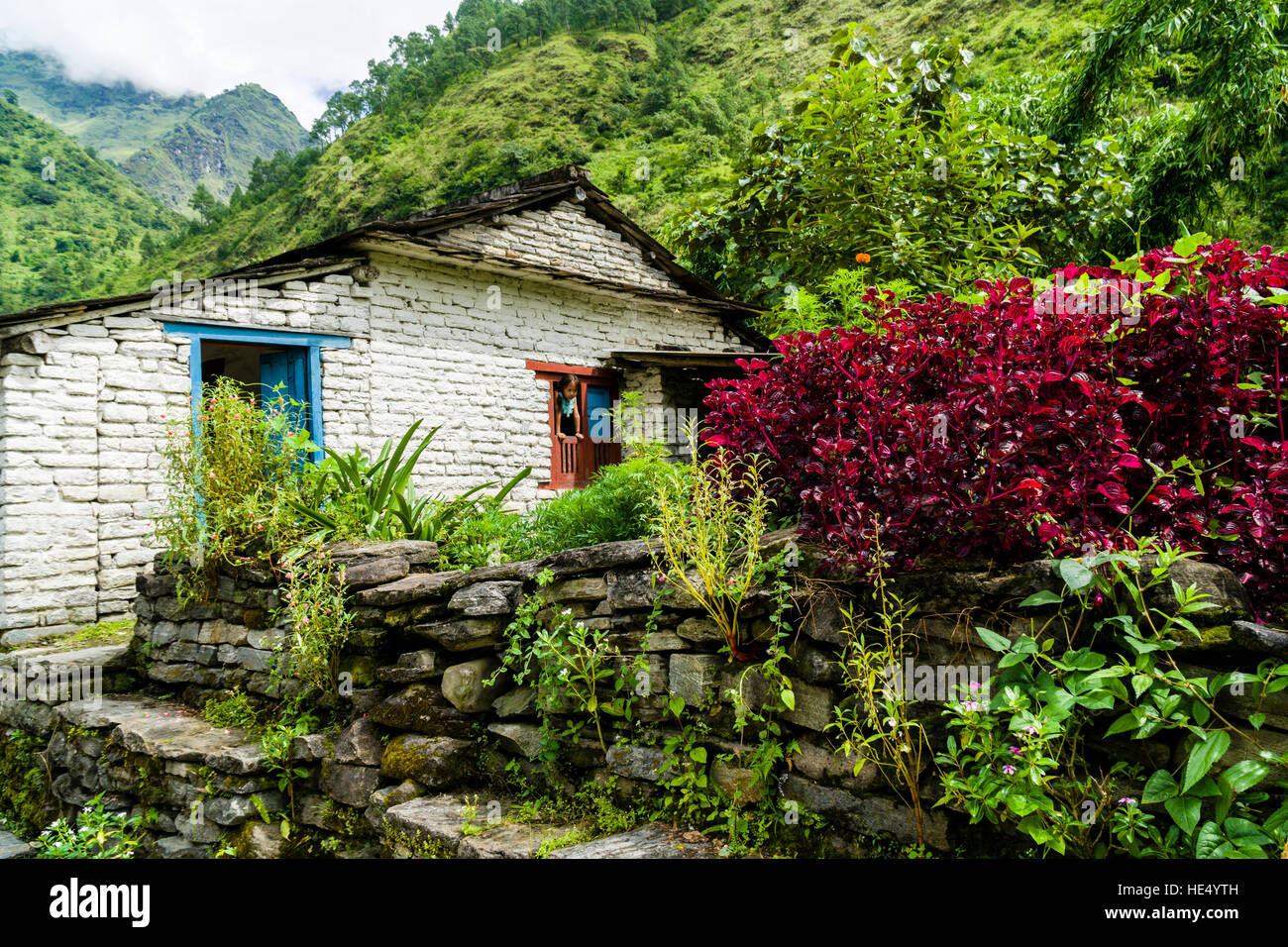 Gli agricoltori di una casa nel verde paesaggio agricolo del Kali Gandaki valley Foto Stock