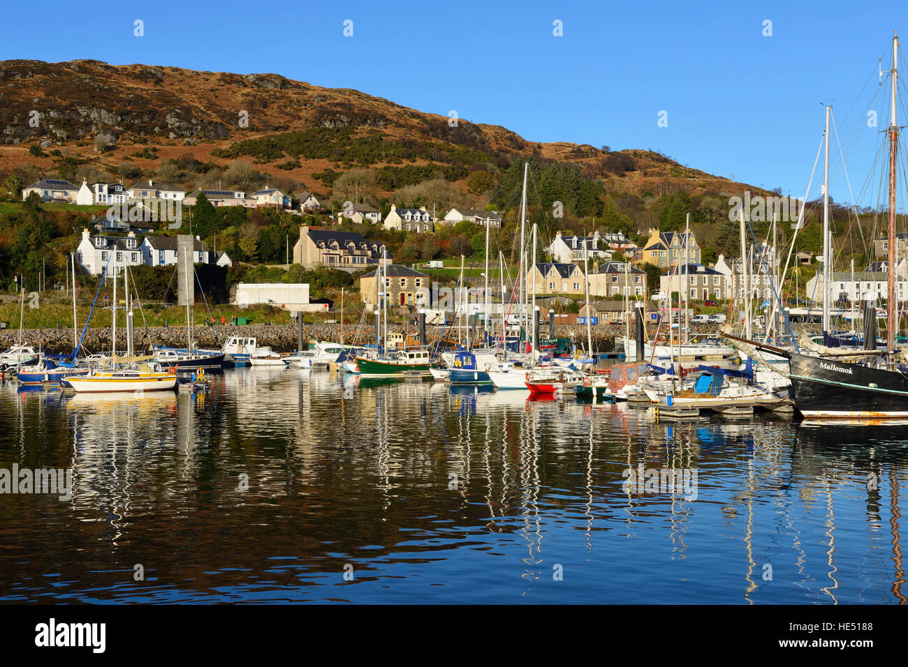 Marina al villaggio di pescatori di Tarbert su Loch Fyne in Argyll and Bute, Scozia Foto Stock