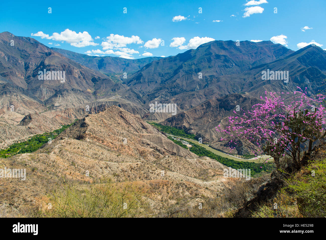 Ande Centrali, valle verde, Marañón fiume, Regione Amazonas, Cajamarca, Perù Foto Stock
