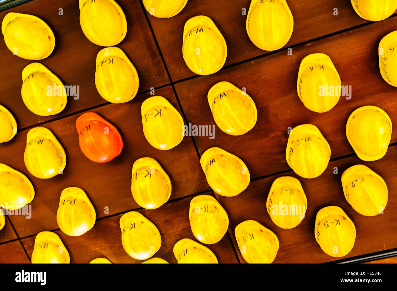 Hardhats sul soffitto della solidarietà europea, centro di Danzica Foto Stock