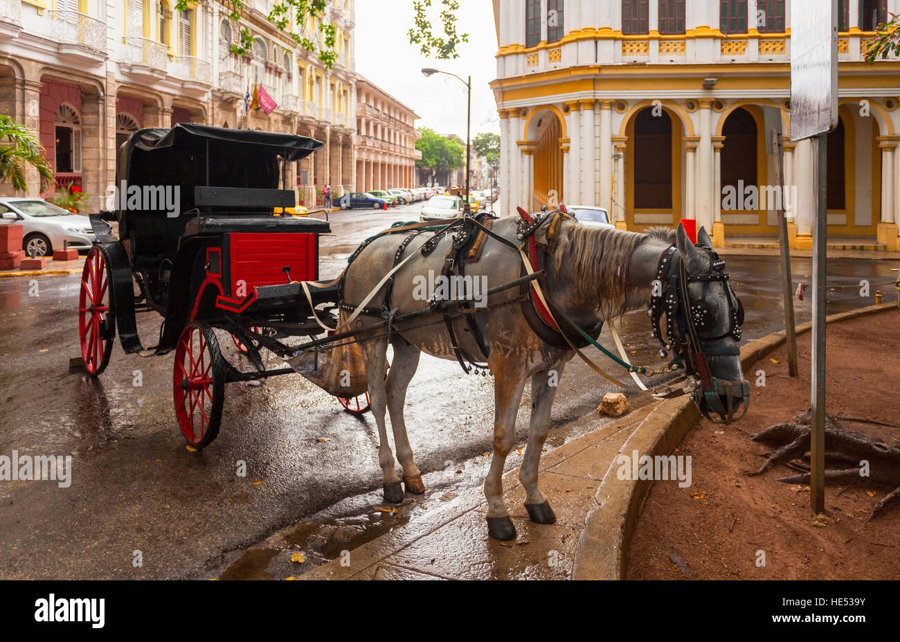 Un cavallo in piedi bagnati dalla pioggia attaccato a un carrello nella Vecchia Havana, Cuba. Foto Stock