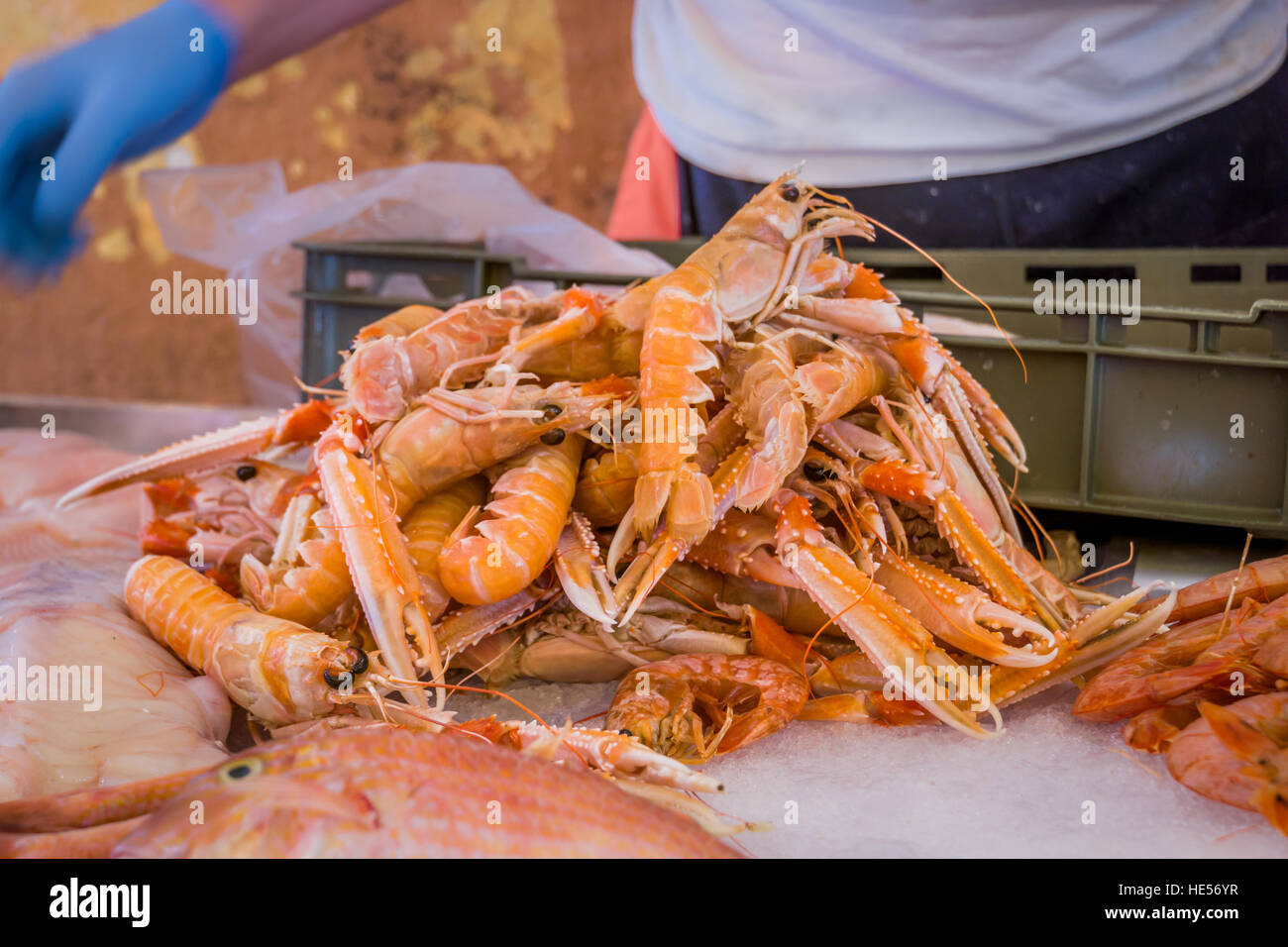 Un fornitore con una pila di scampi freschi per la vendita in un mercato del pesce in Croazia. Foto Stock