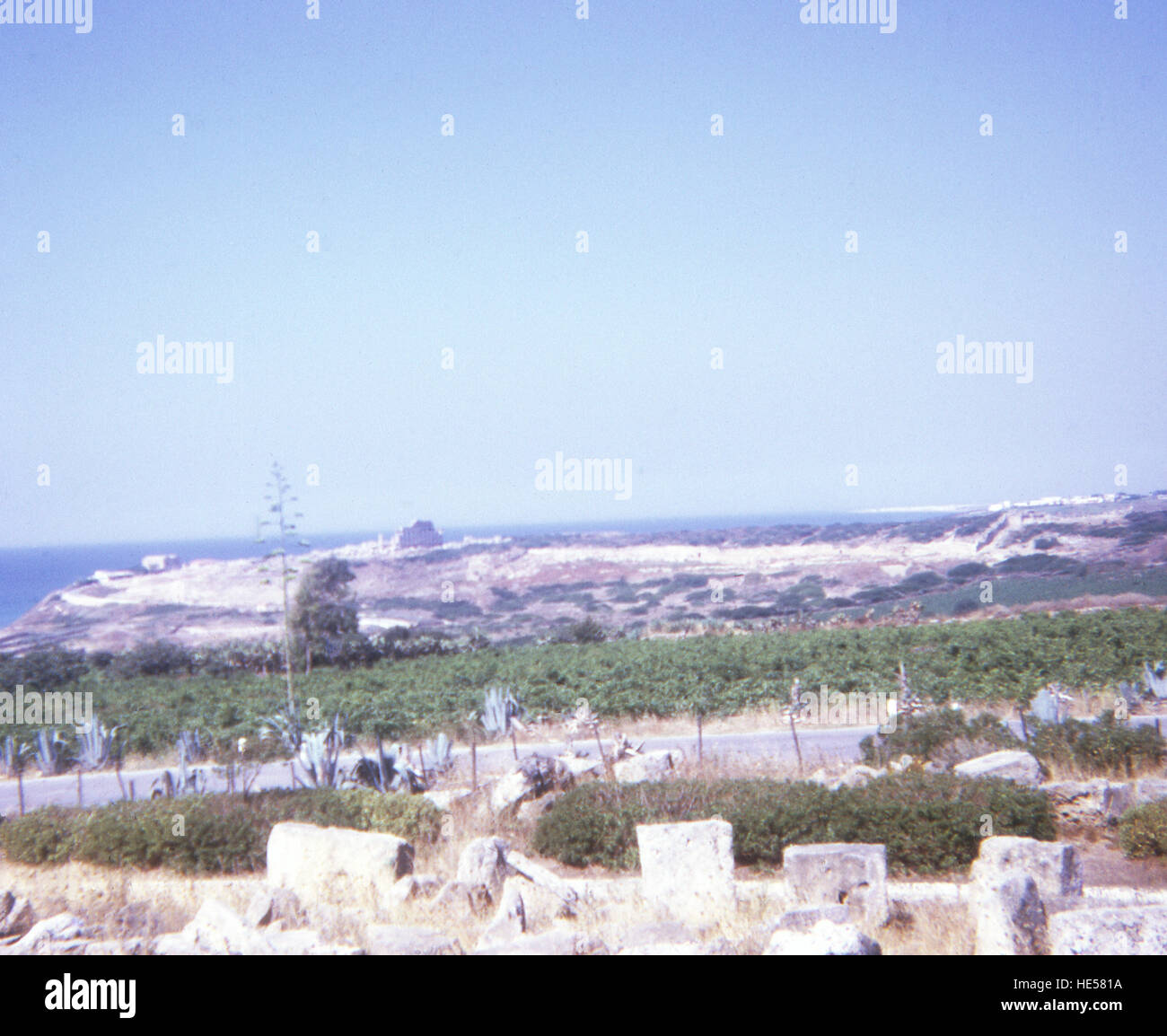 La colonia di Selinunte (moderno Seliunte) fu fondata nella metà del VII secolo a.c. dai Greci di Megara Hyblaea in Sicilia e di Megara in Grecia. Essa è stata la più occidentale colonia greca sull'isola di Sicilia. Dal 6 al 5 secoli almeno dieci templi separati sono stati costruiti. Nel 409 A.C. Cartagine distrutta Selinunte. L'Acropoli era dove gli abitanti fuggirono e questa foto è stata presa da quel sito. In primo piano sono i resti dei templi - nella distanza è Tempio C, il onlly uno che ha ancora una notevole struttura permanente a sinistra. Questa foto risale al 1970. Foto Stock