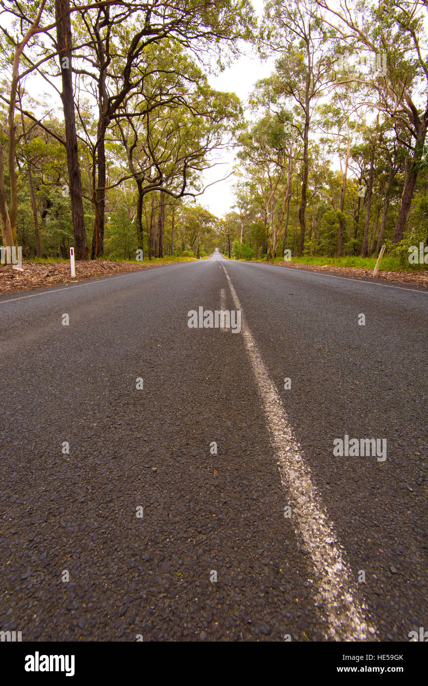 Un lungo rettilineo di strada australiano Foto Stock