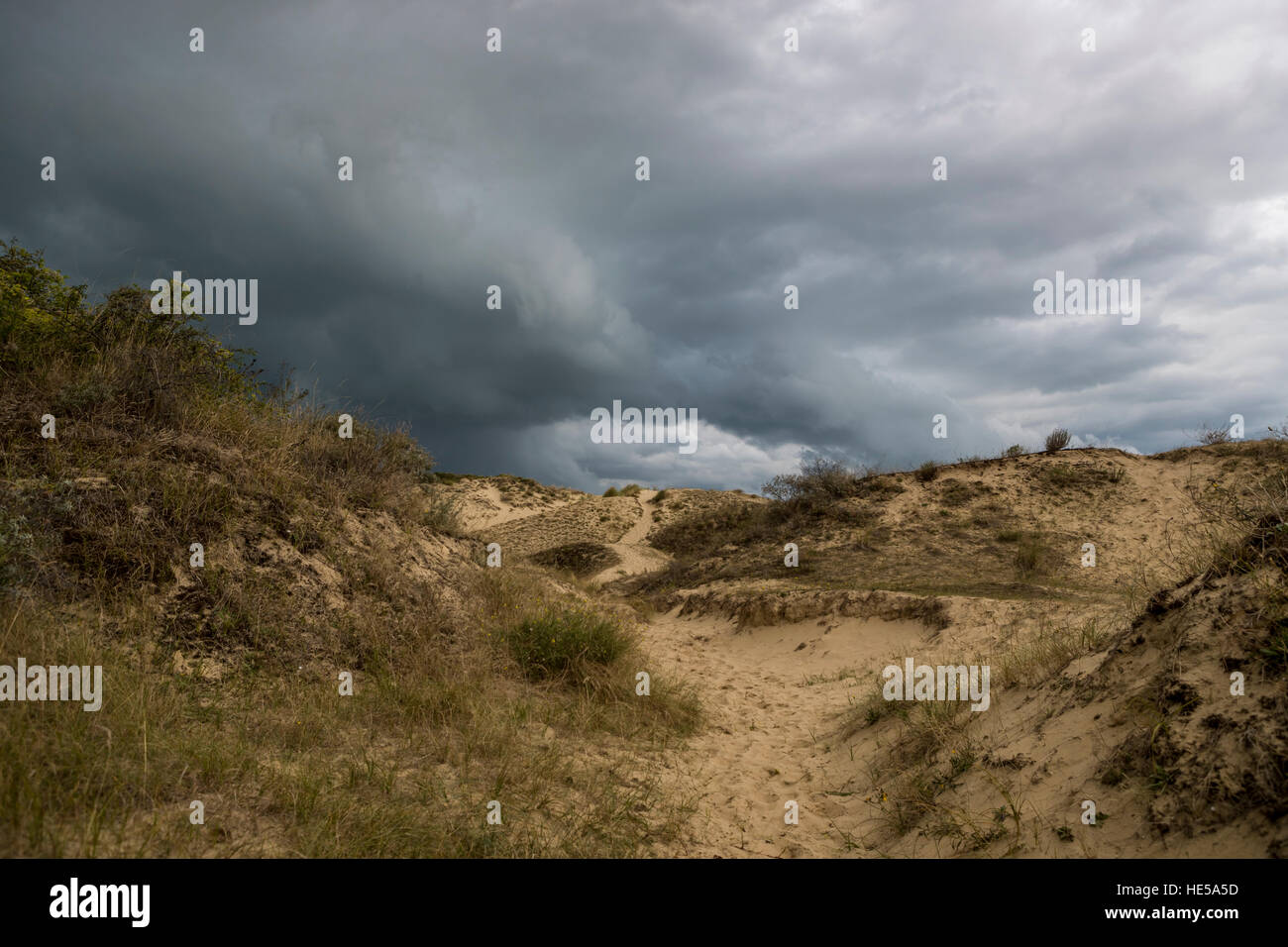 Sistema di dune di bray dunes, Dunkerque, Francia. Foto Stock