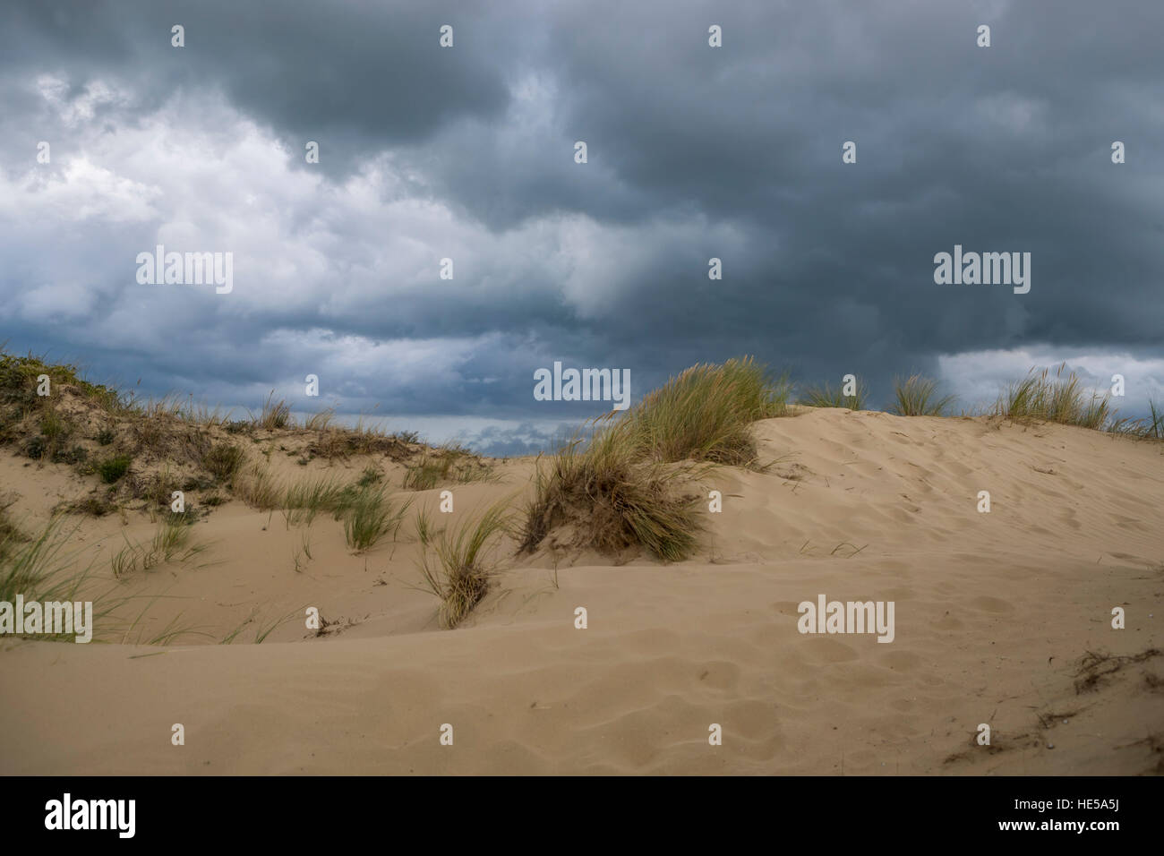 Sistema di dune di bray dunes, Dunkerque, Francia. Foto Stock