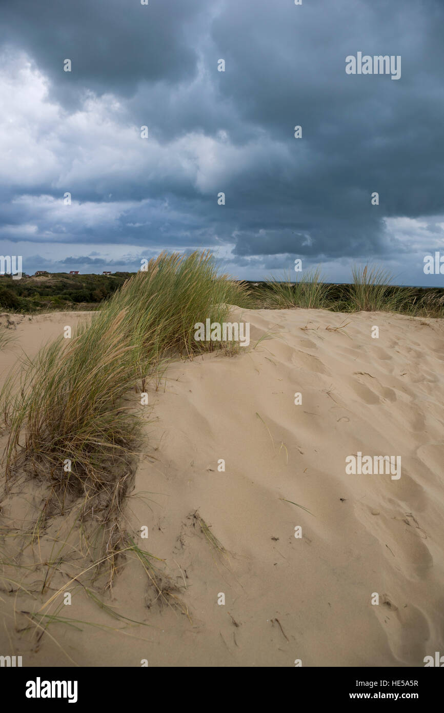 Sistema di dune di bray dunes, Dunkerque, Francia. Foto Stock