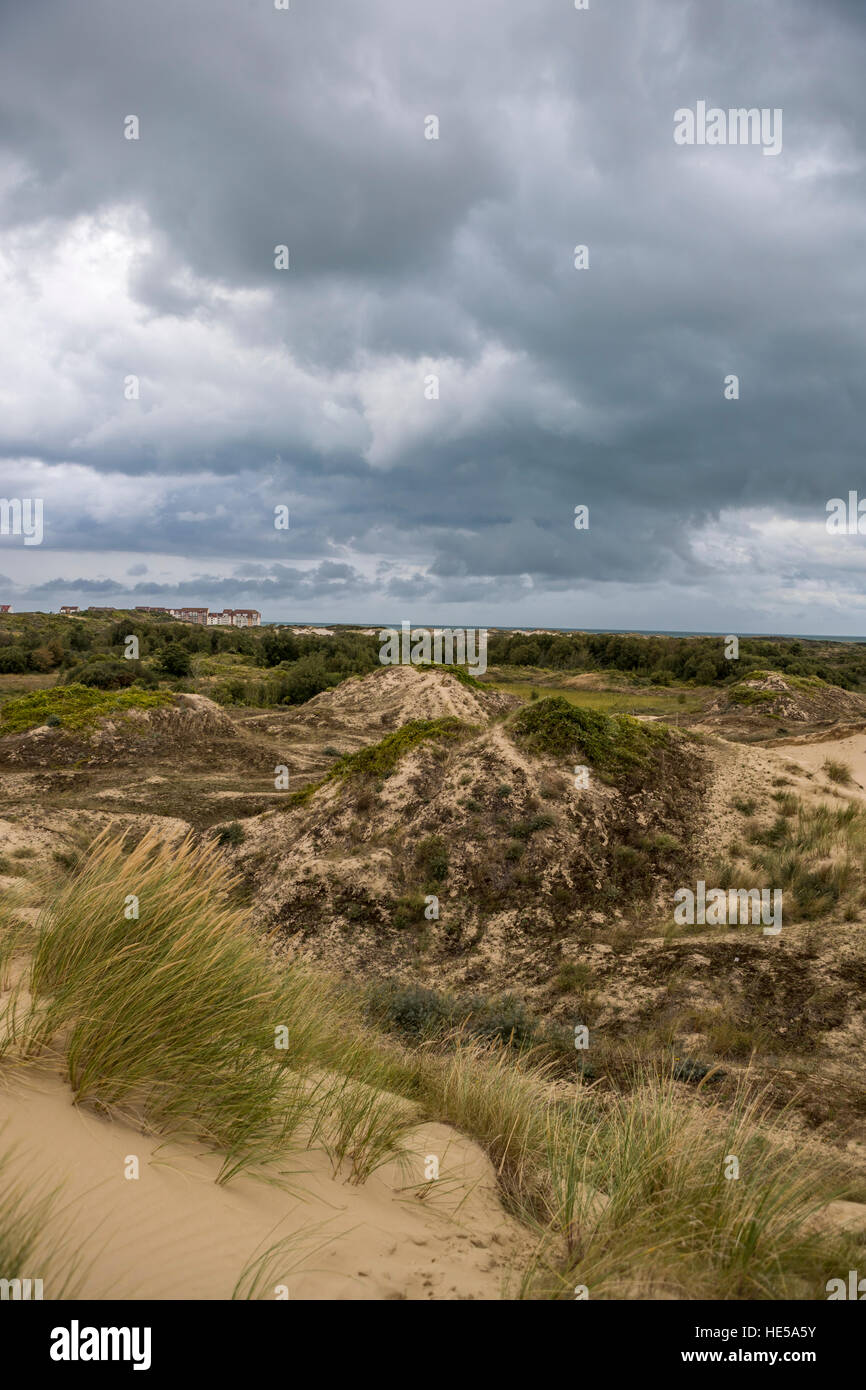 Sistema di dune di bray dunes, Dunkerque, Francia. Foto Stock