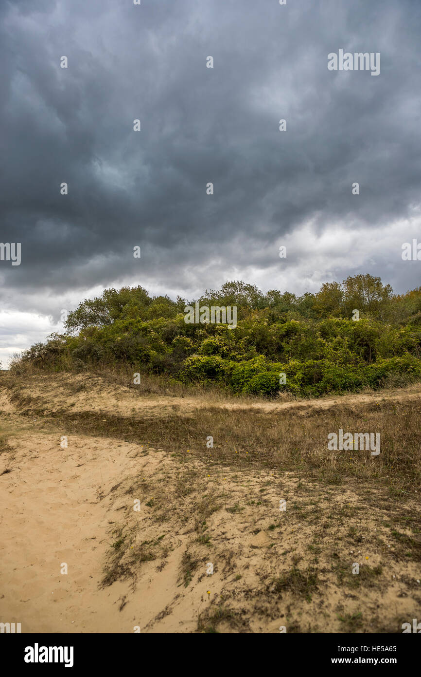 Sistema di dune di bray dunes, Dunkerque, Francia. Foto Stock