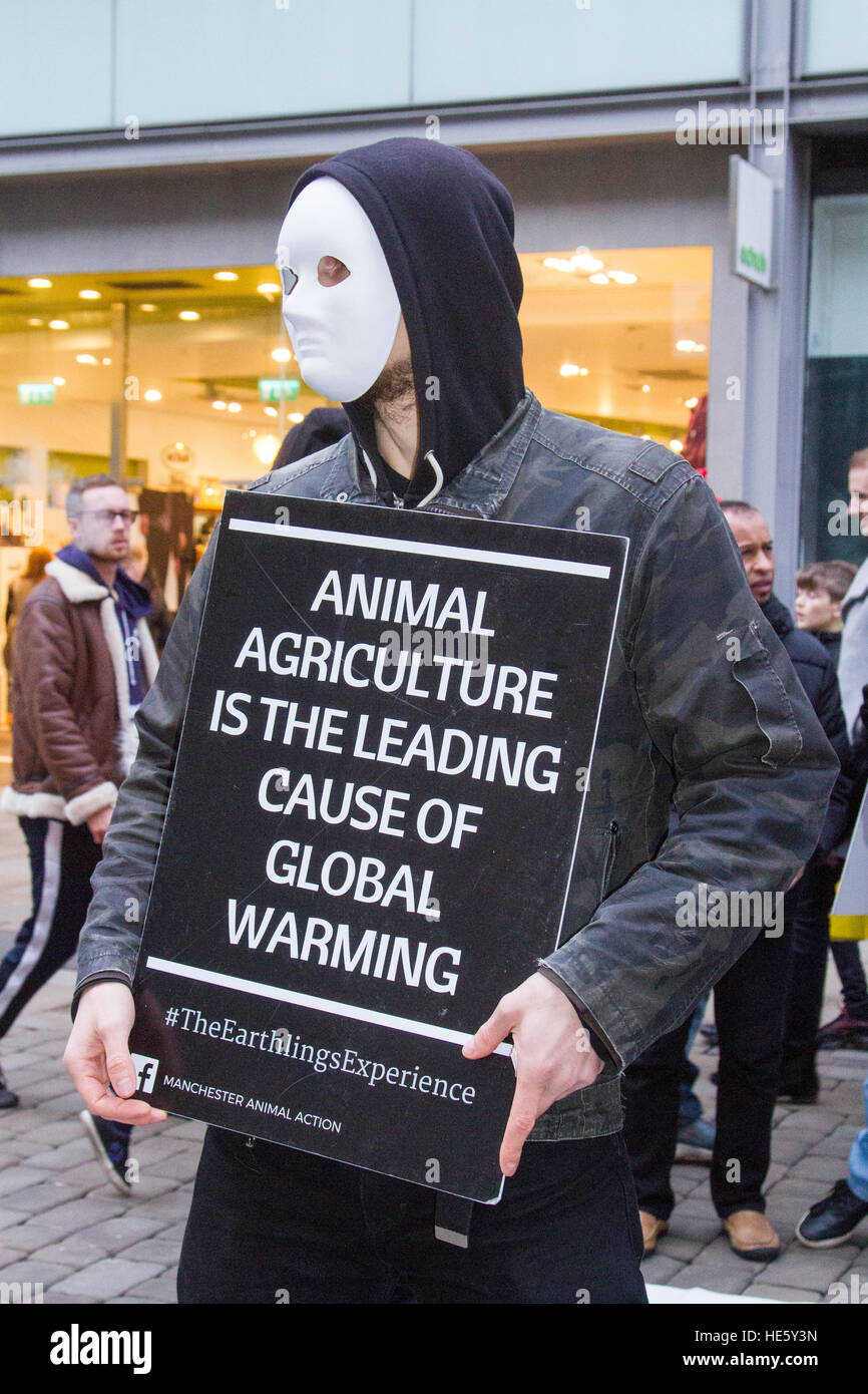 Protesta vegana, Piccadilly, Manchester, Regno Unito: 17 Dic 2016. Mascherare i diritti degli animali gruppo "i terrestri esperienza' stadio un flash mob dimostrazione in Manchester Piccadilly, UK. © Cernan Elias/Alamy Live News Foto Stock
