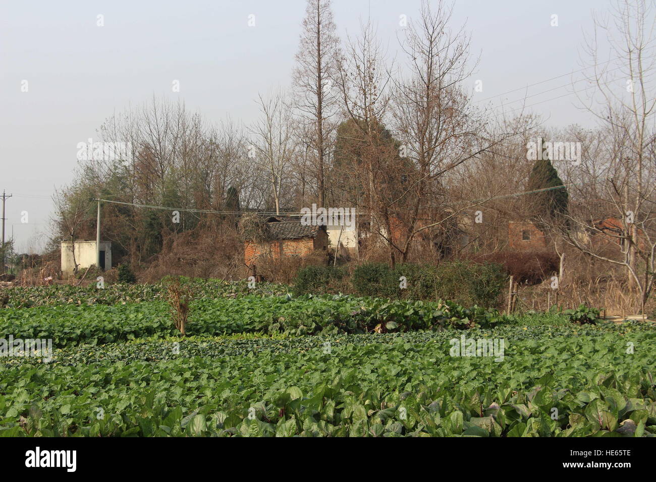 Xiaogan, Xiaogan, Cina. Xviii Dicembre, 2016. Xiaogan, CINA-Dicembre 18 2016: (solo uso editoriale. Cina OUT) .Sangang Village, il villaggio abbandonato di Yunmeng County, Xiaogan, centrale cinese della provincia di Hubei, Dicembre 18th, 2016. Ci sono stati più di 200 abitanti del villaggio nel tempo passato, ma oggi quasi nessuno può essere visto nel villaggio perché la maggior parte degli abitanti del villaggio era già spostata in altri luoghi. © SIPA Asia/ZUMA filo/Alamy Live News Foto Stock