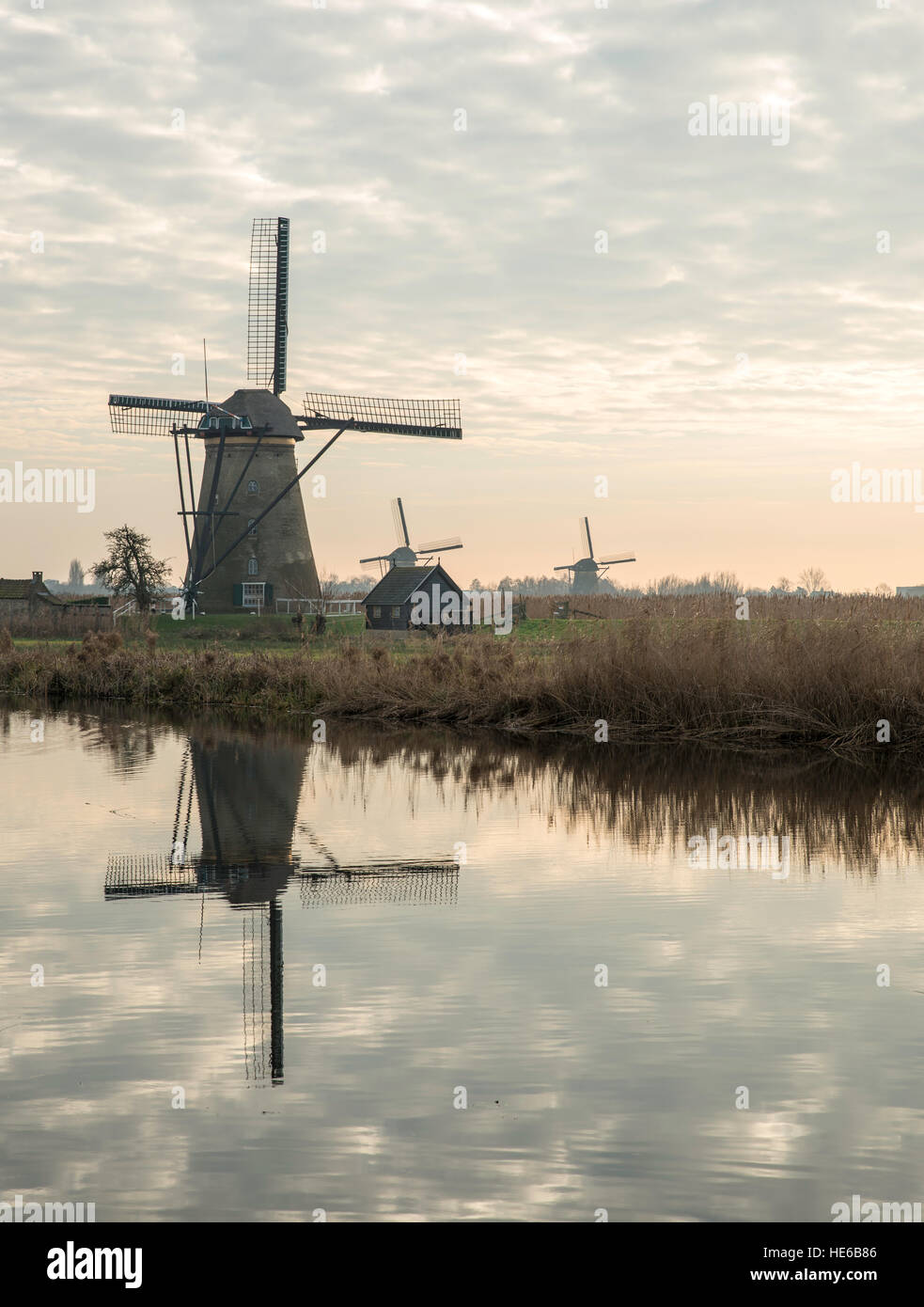 Patrimonio Mondiale UNESCO mulini a vento di Kinderdijk in Olanda europa, mulini ad acqua con la riflessione e al crepuscolo Foto Stock