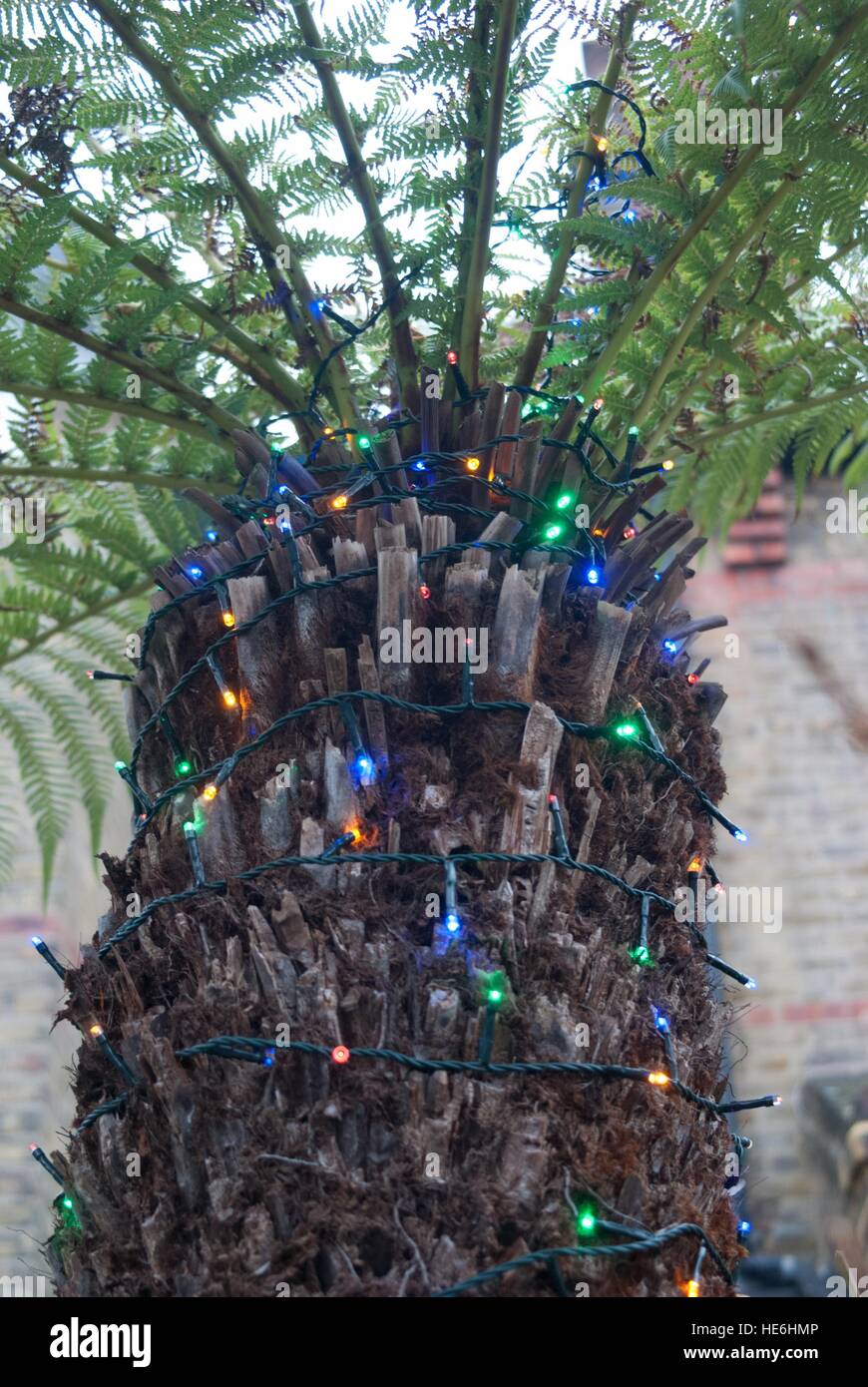 Christmmas buable , trians ]murale bowir=e Foto Stock