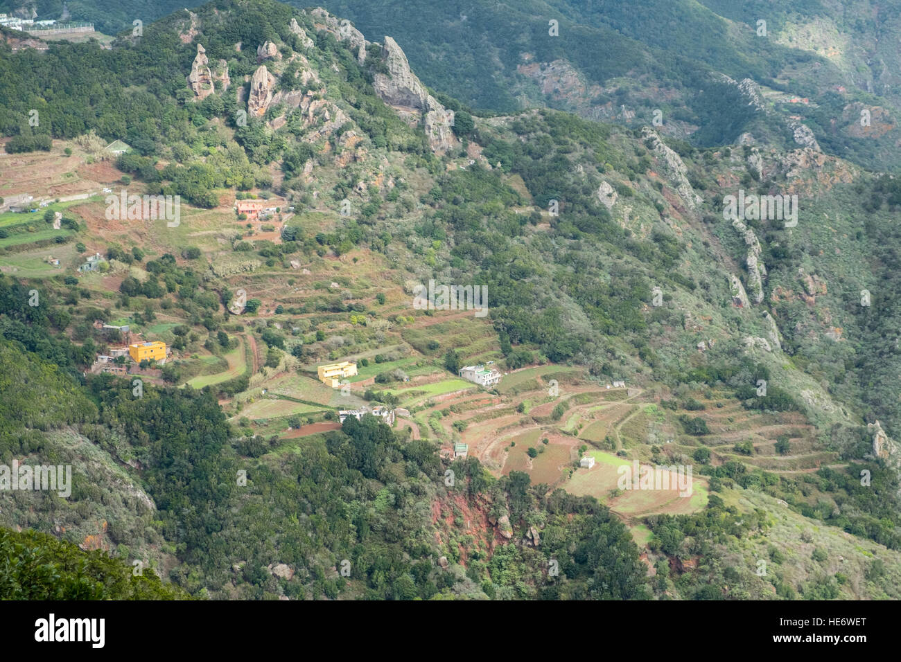 Terrazza campi, paesaggio di montagna e agricoltura a schiera Foto Stock