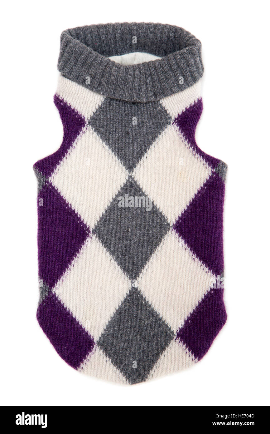 Singolo cane maglione isolare su bianco Foto Stock