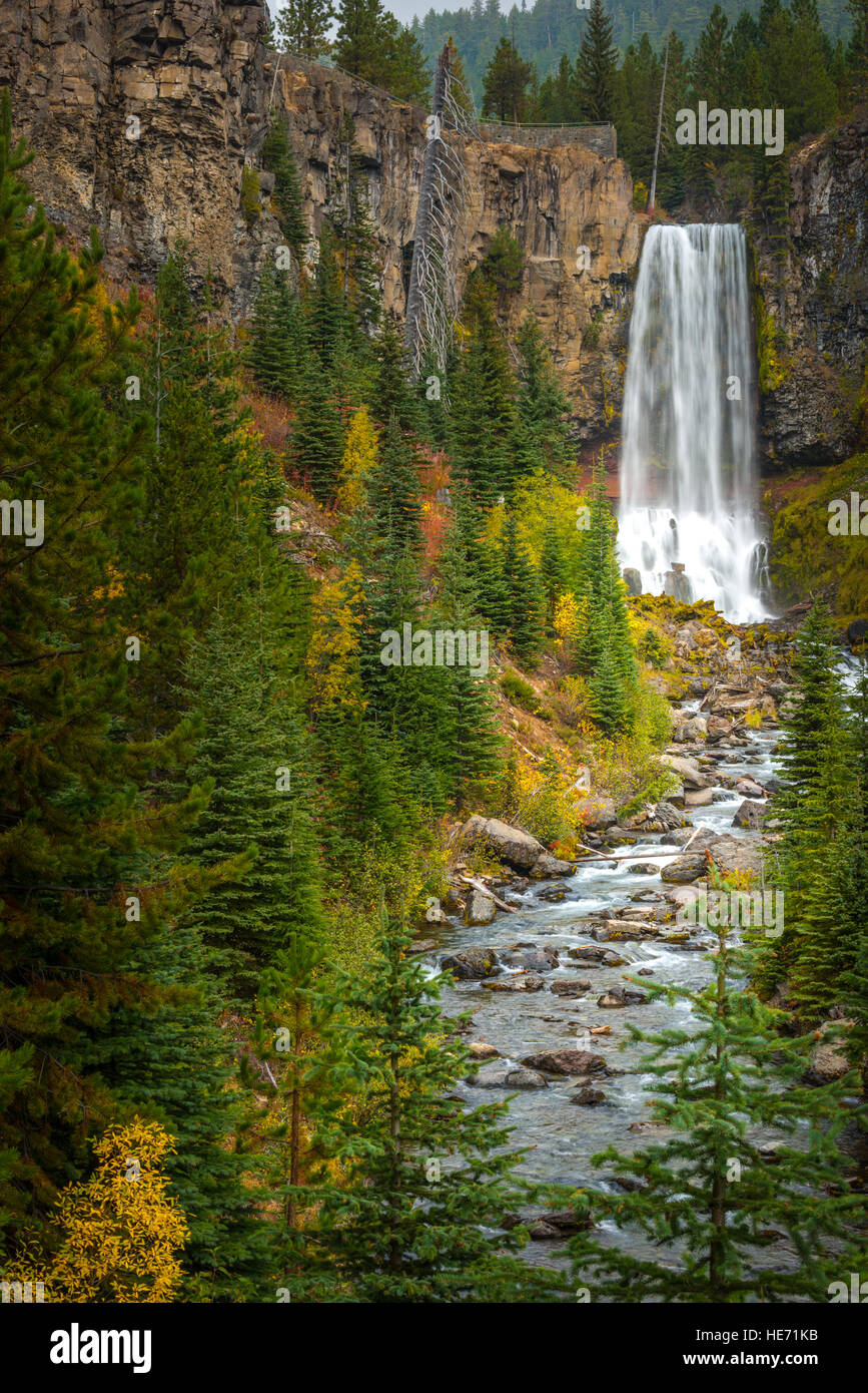 Tumalo cade Deschutes National Forest vicino a curvatura Oregon Foto Stock