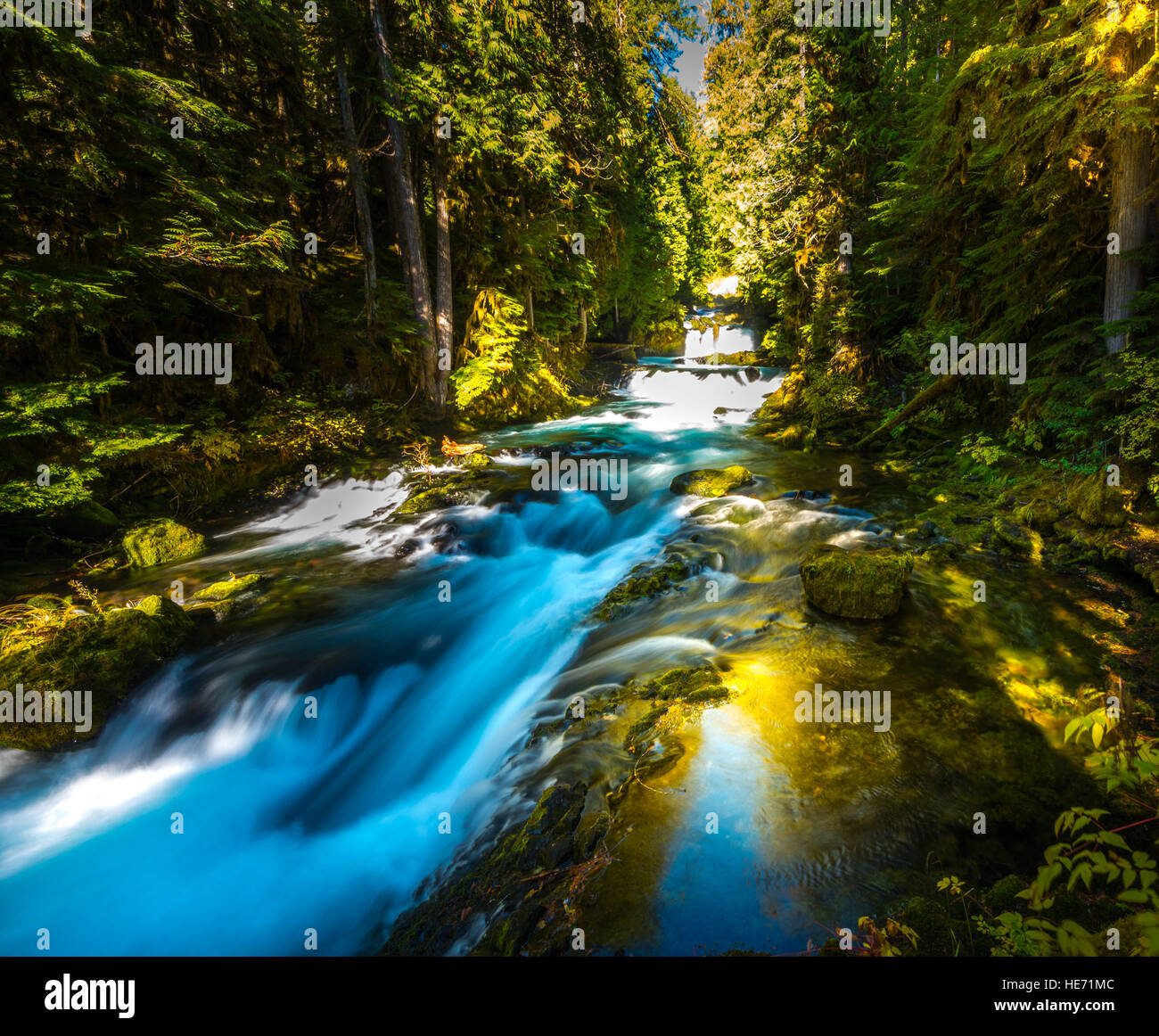 Fiume McKensie giù dalla Sahalie Falls Oregon Willamette National Forest Foto Stock