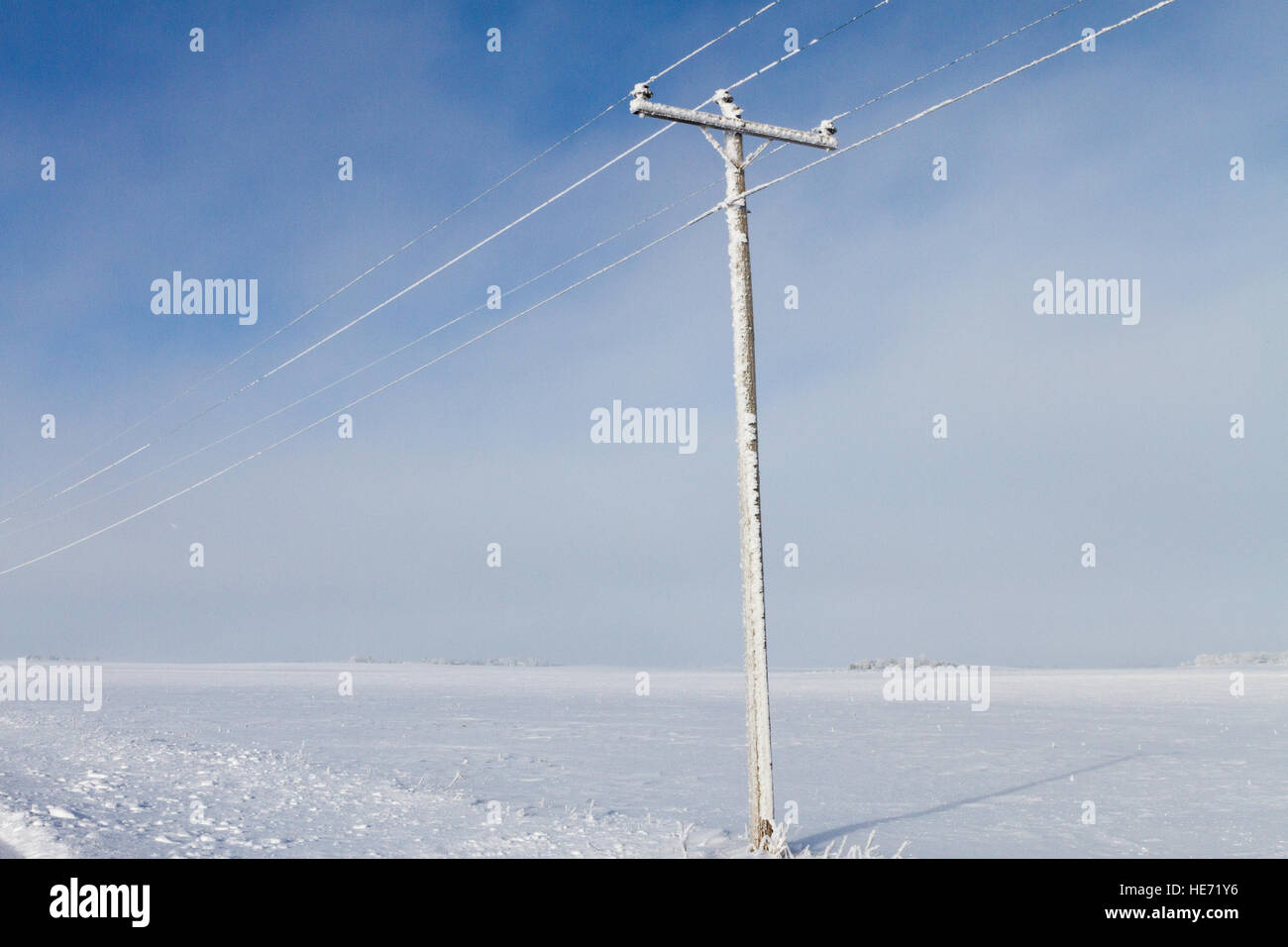 Polo elettrico coperto di neve e di gelo con campo in background e cielo blu nel paese Foto Stock