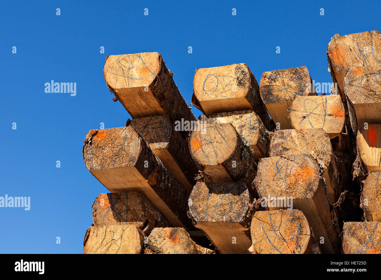 Pila di trave in legno in sawmil. Foto Stock