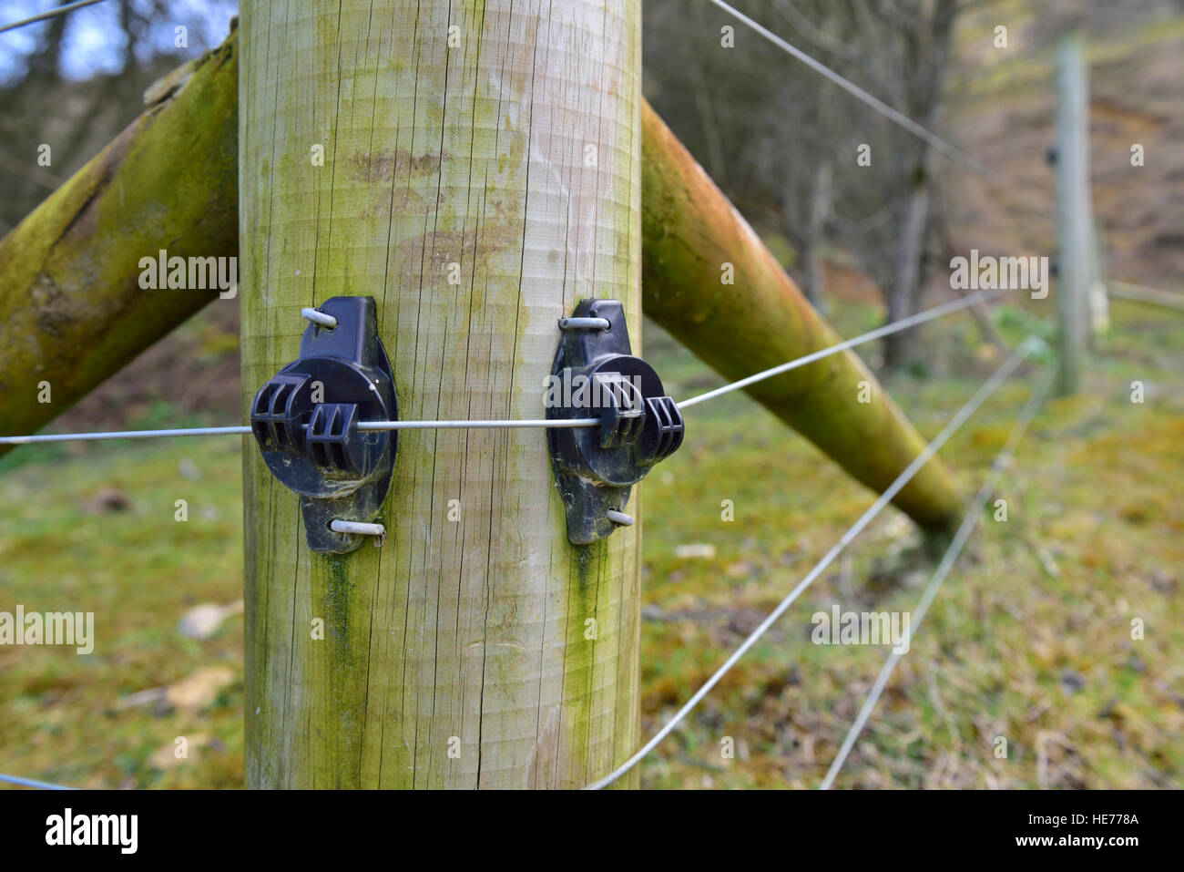 Recinto elettrico filo che va oltre gli isolatori sulle staccionata in legno post, Inghilterra Foto Stock