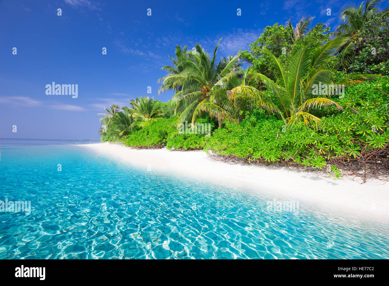 Isola tropicale con spiaggia sabbiosa, turchesi acque chiare e palme Foto Stock