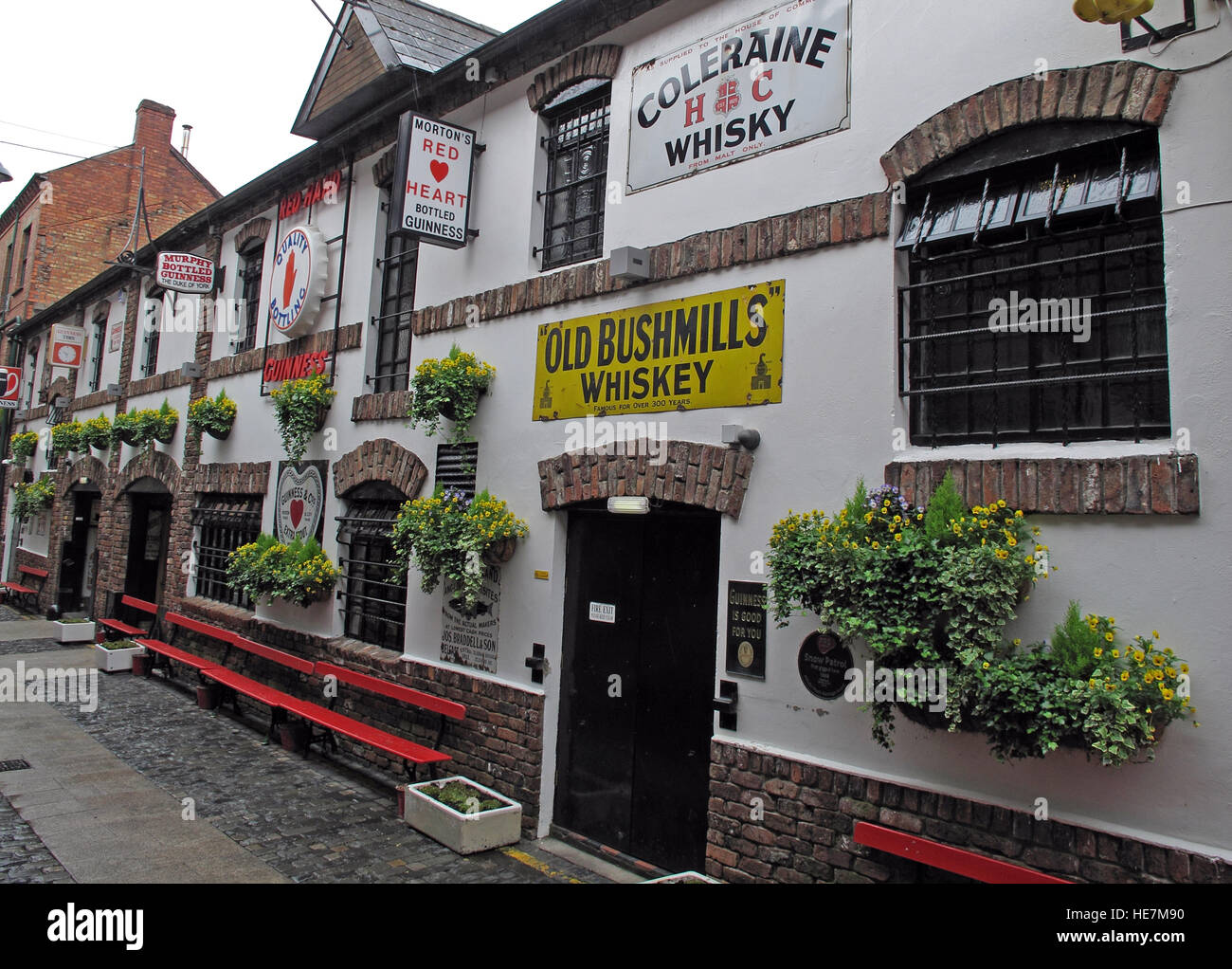 Il duca di York Pub,Belfast, mostrando Old Bushmills Whiskey annunci Foto Stock
