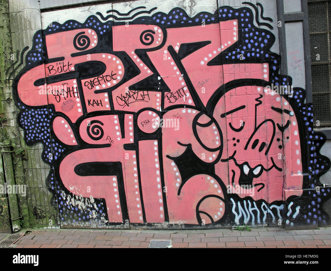 Graffiti Belfast Garfield St, Centro citta', l'Irlanda del Nord, Regno Unito Foto Stock