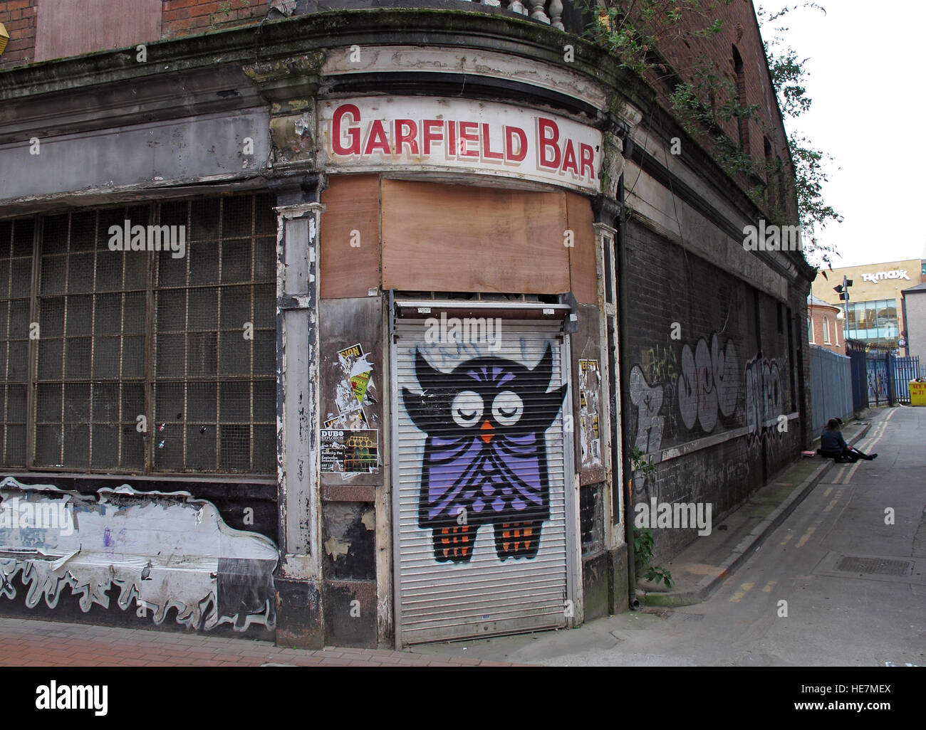 Belfast Garfield St Owl graffiti - Garfield Bar City Centre, Irlanda del Nord, Regno Unito Foto Stock