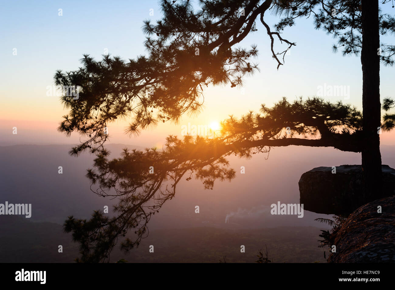Tramonto in serata silhouette di scena a Pha Lom sak sul Phu Kradueng National Park, Loei Provincia Foto Stock