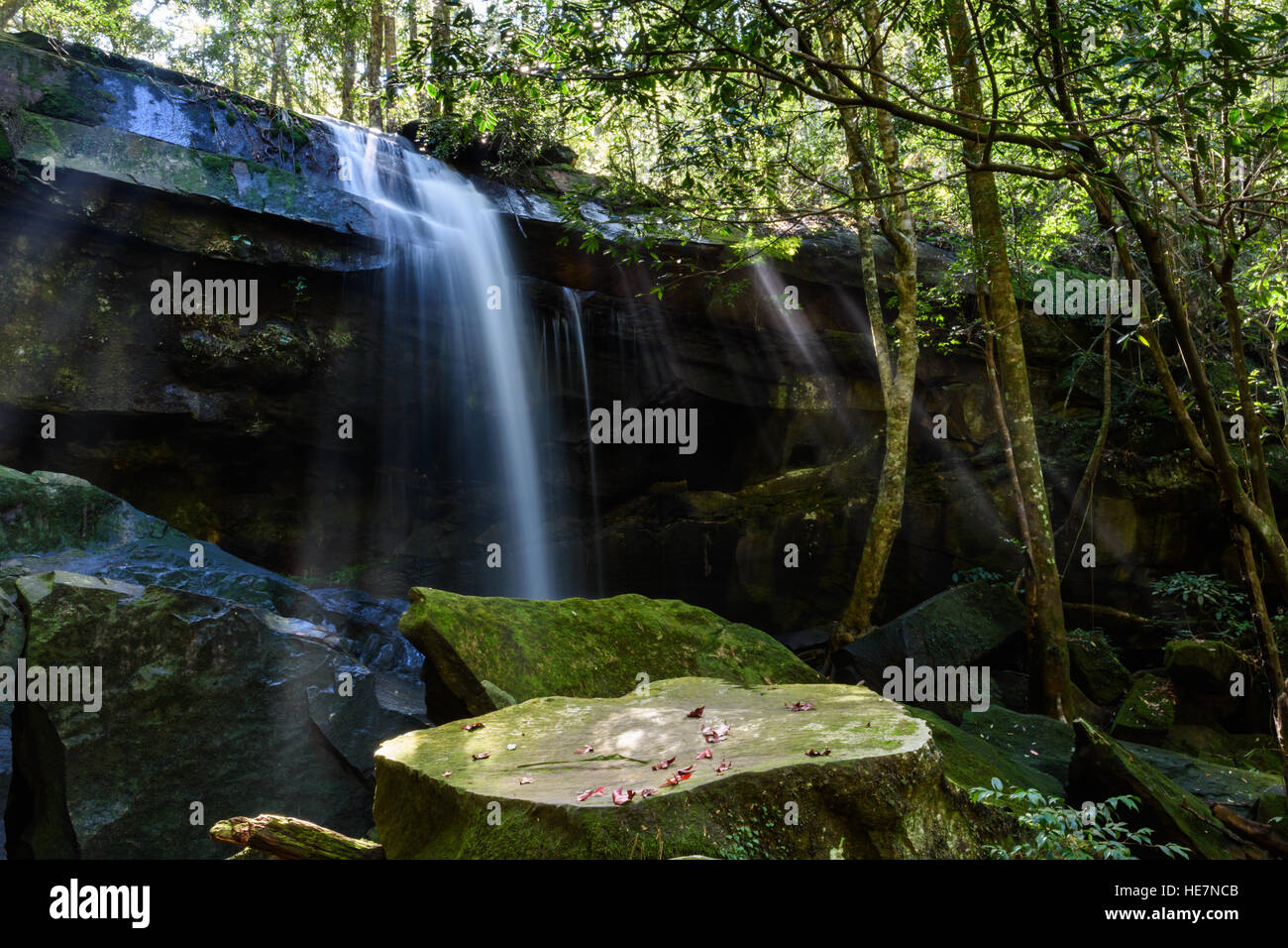 Tham Yai cascata a Phu Kradueng National Park, Loei Provincia Foto Stock