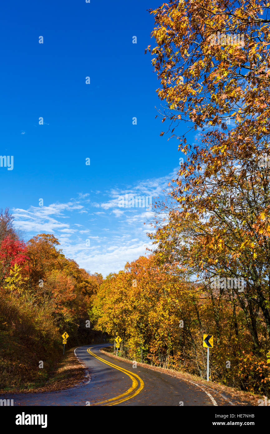 Monti Ozark, Arkansas in autunno. Strada di campagna, AR-103, attraverso la Ozark National Forest a nord di Clarksville, Arkansas, Stati Uniti d'America. Foto Stock