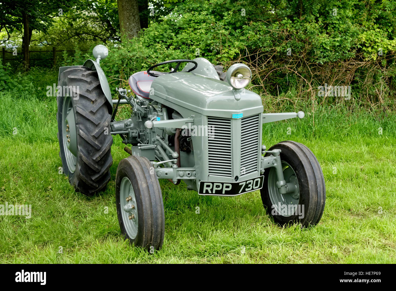 Trattore diesel Ferguson TEF20 Vintage 1953, registrazione, RPP 730, al Vintage Nostalgia Show 2014, Stockton, Wiltshire, Regno Unito. Foto Stock