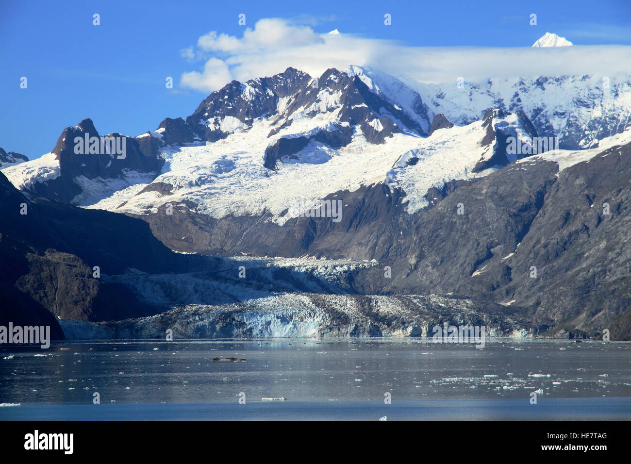 Glacier che scorre verso il mare - Glacier Bay - Alaska Foto Stock